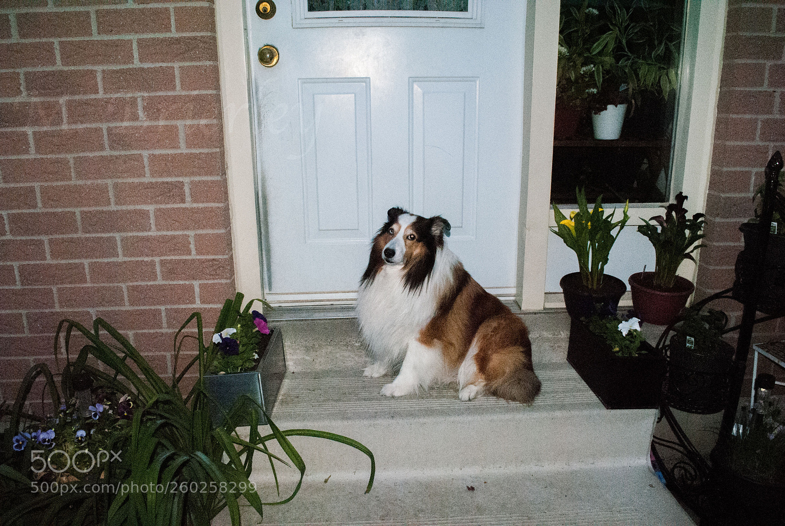 Nikon D3000 sample photo. Depth of field photography