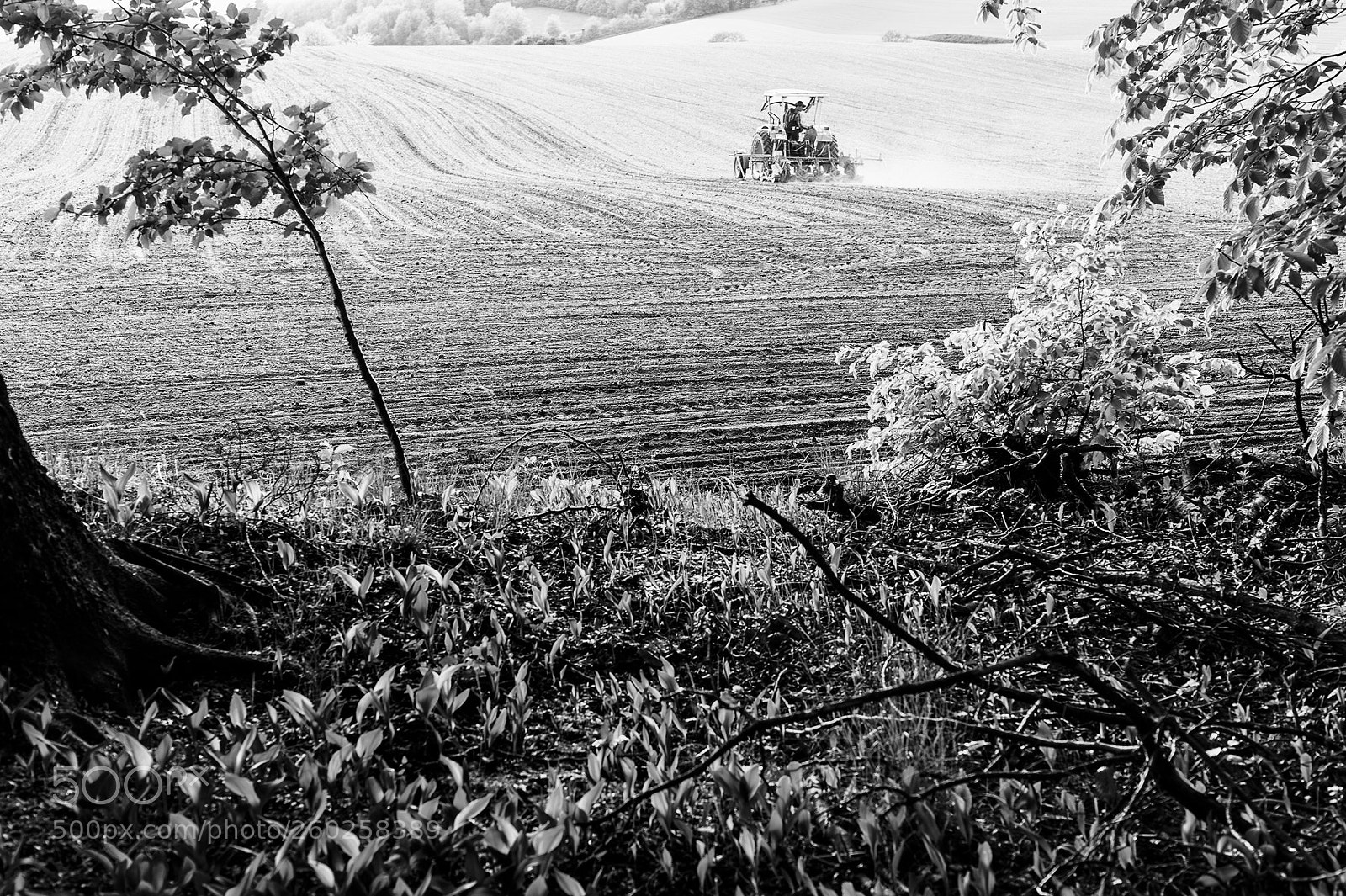 Nikon D700 sample photo. On the ride photography