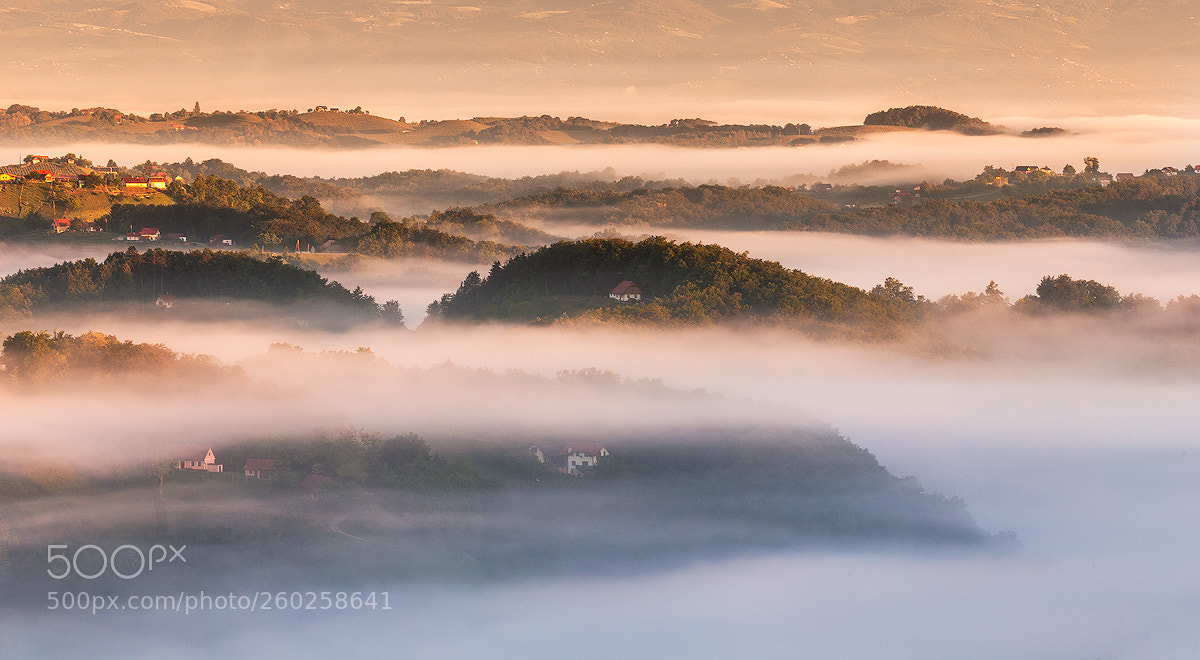 Canon EOS 6D sample photo. In the fog photography