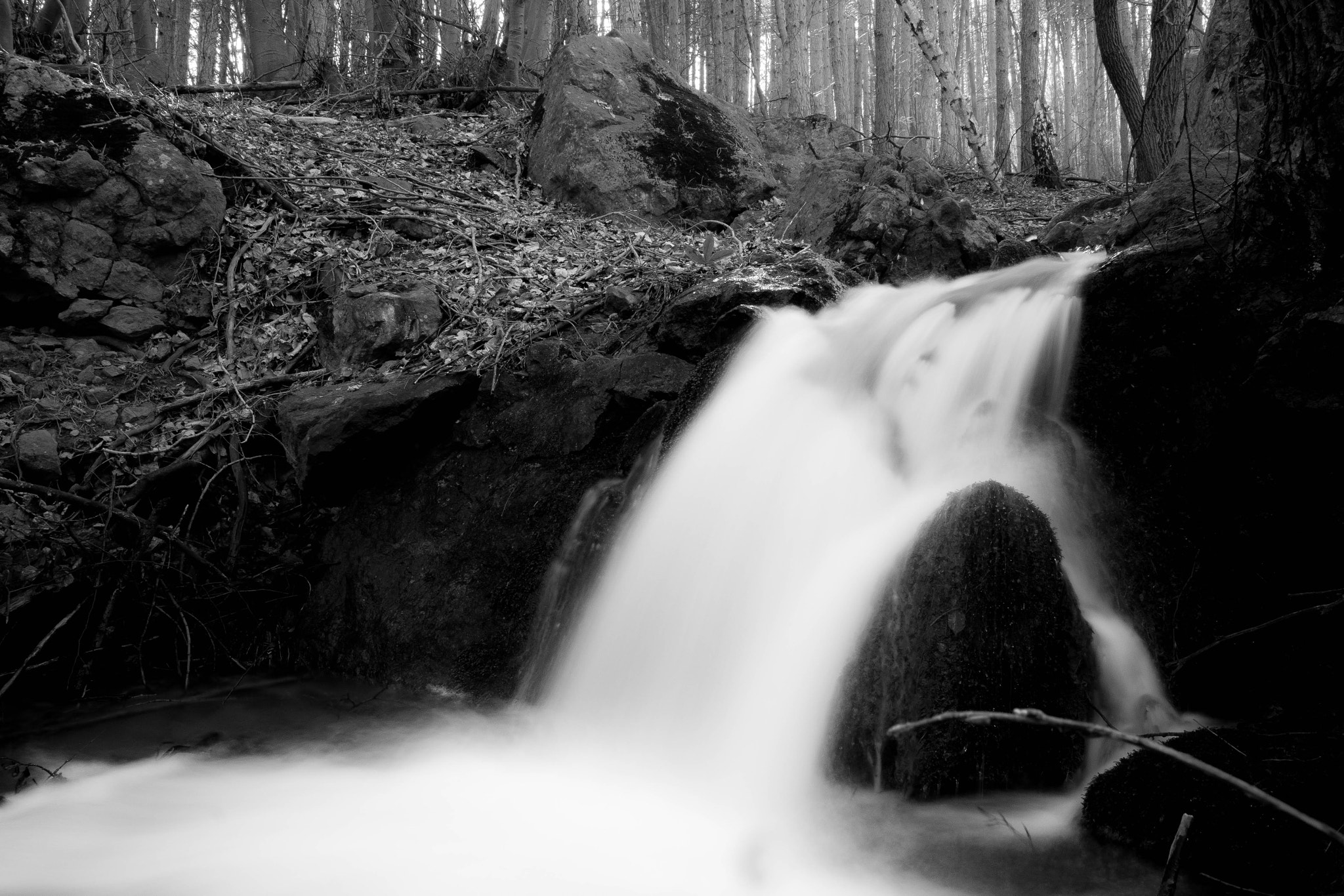 Samsung NX30 sample photo. Panta rhei photography