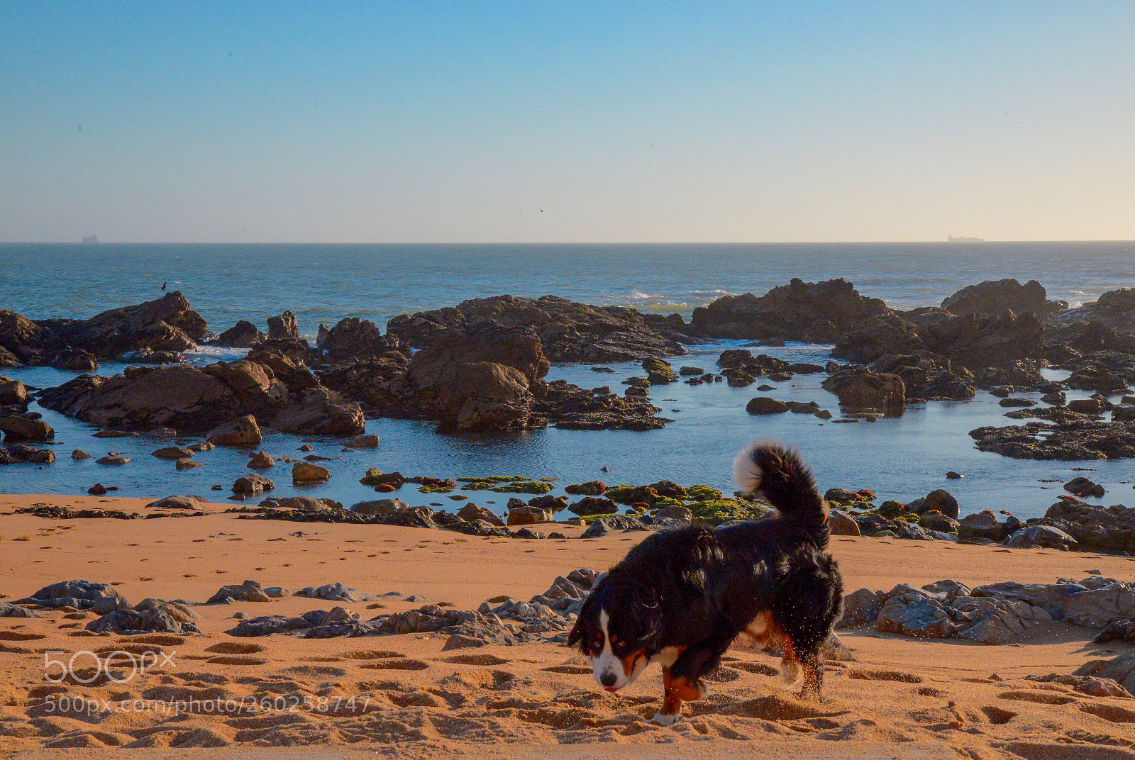 Nikon D610 sample photo. Praia do molhe, porto photography