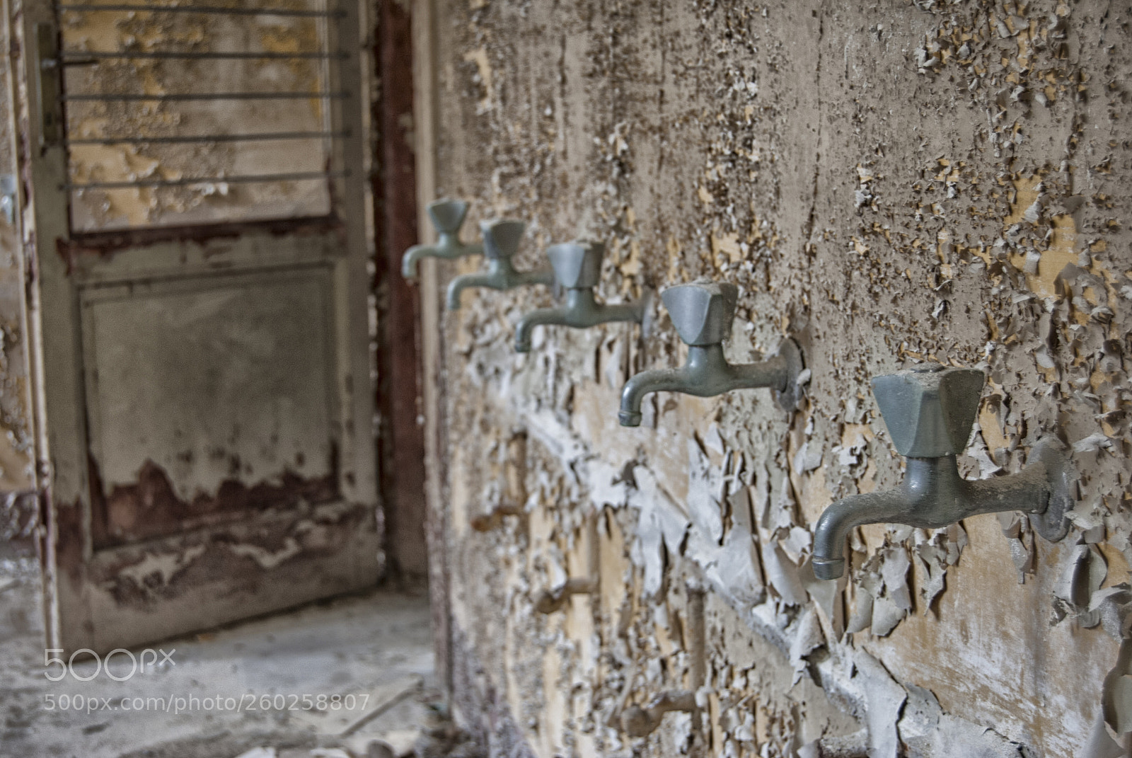 Nikon D3000 sample photo. Untitled photography