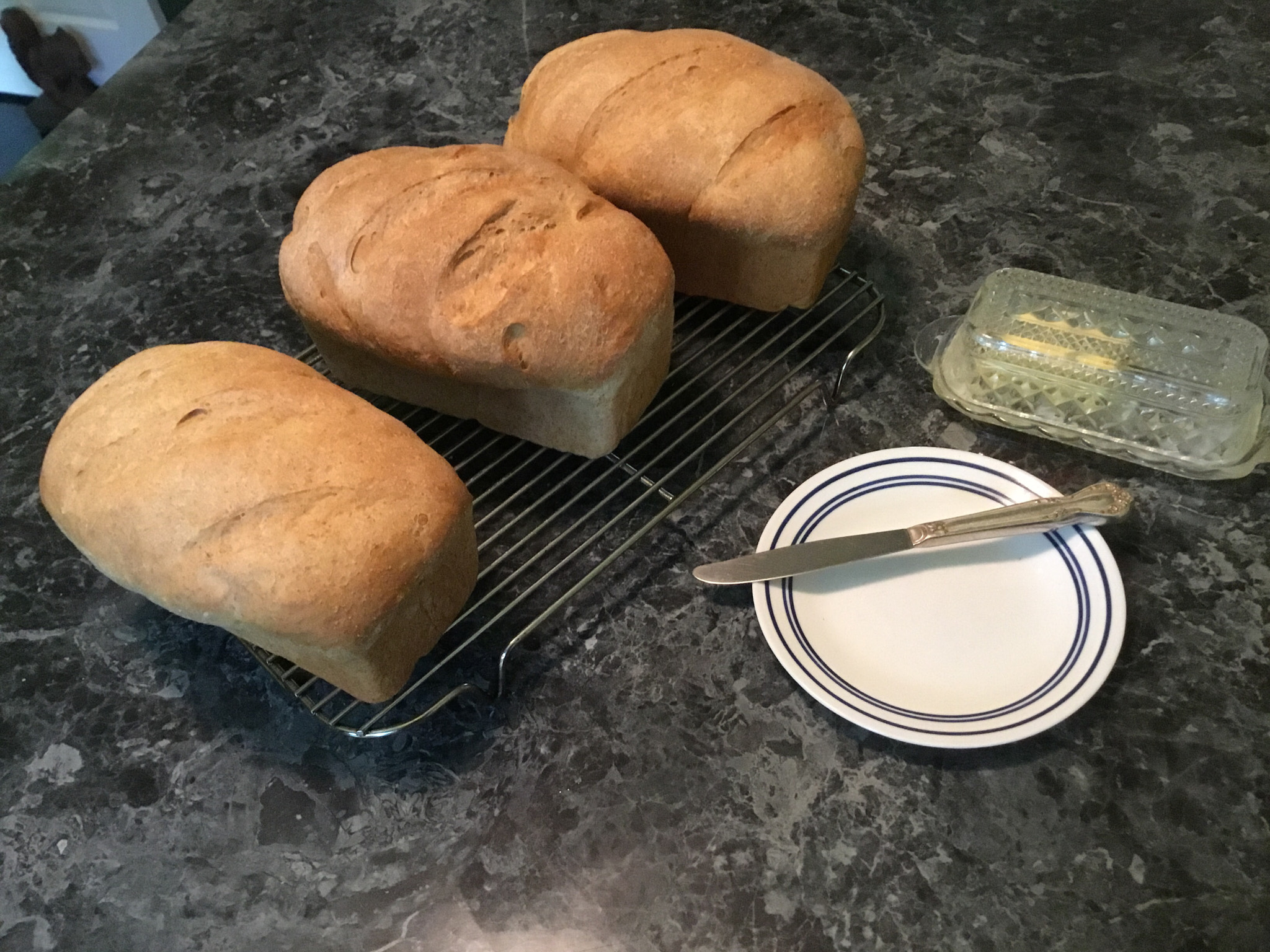Apple iPad Pro sample photo. Benny’s fresh homemade whole wheat bread photography