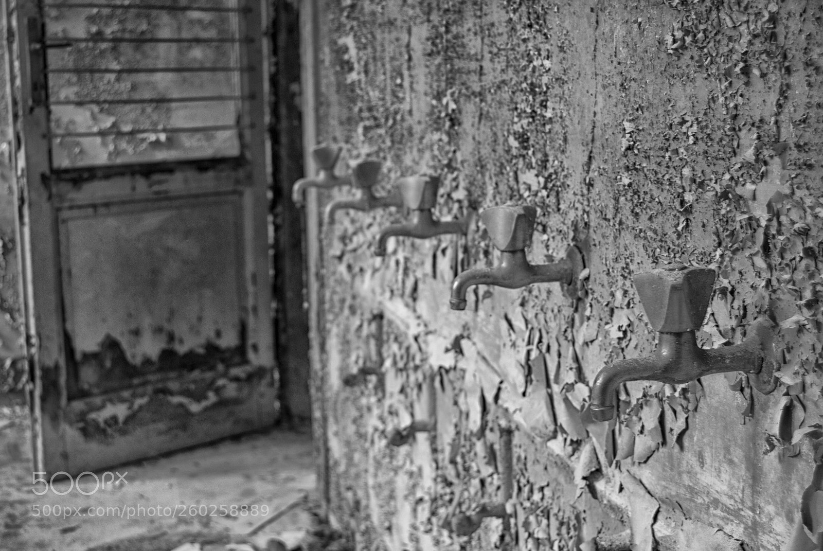 Nikon D3000 sample photo. Untitled photography