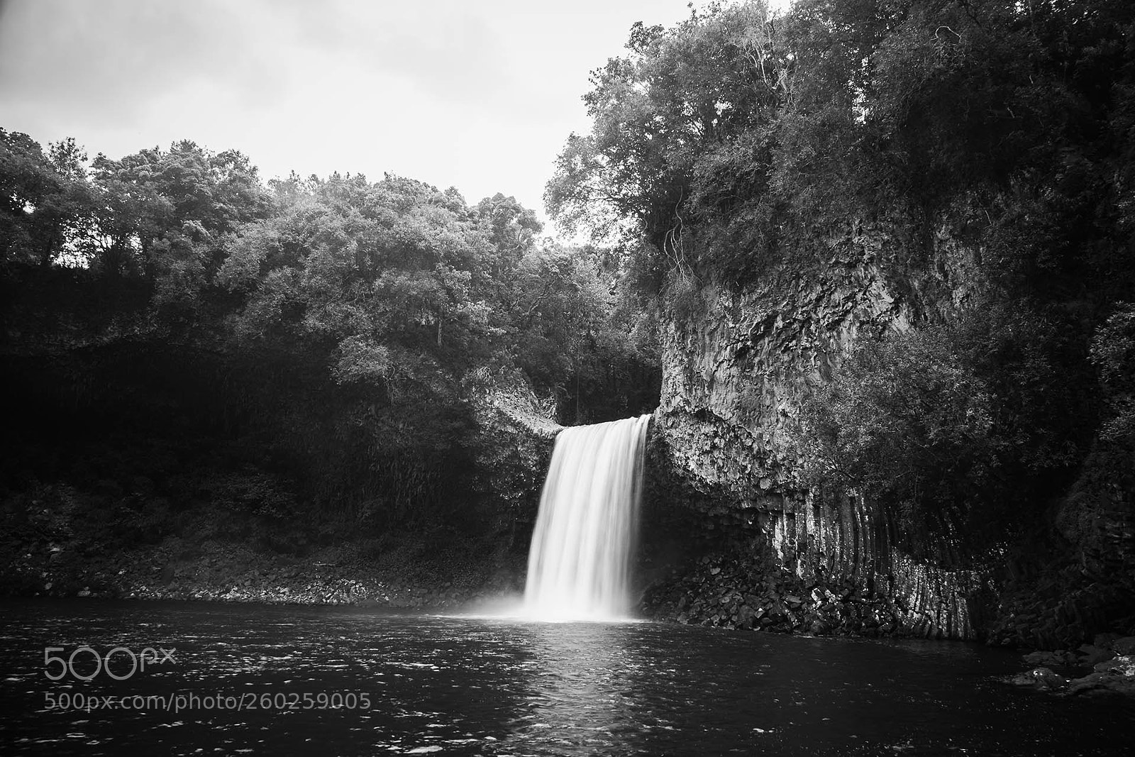 Canon EOS 5D Mark II sample photo. Bassin la paix photography