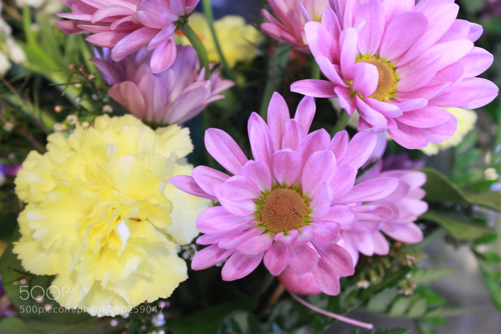Canon EOS 1200D (EOS Rebel T5 / EOS Kiss X70 / EOS Hi) sample photo. Pastel arrangement (manual mode) photography