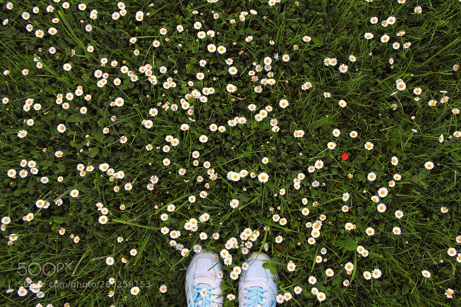 Canon EOS 1100D (EOS Rebel T3 / EOS Kiss X50) sample photo. Girl standing in green photography