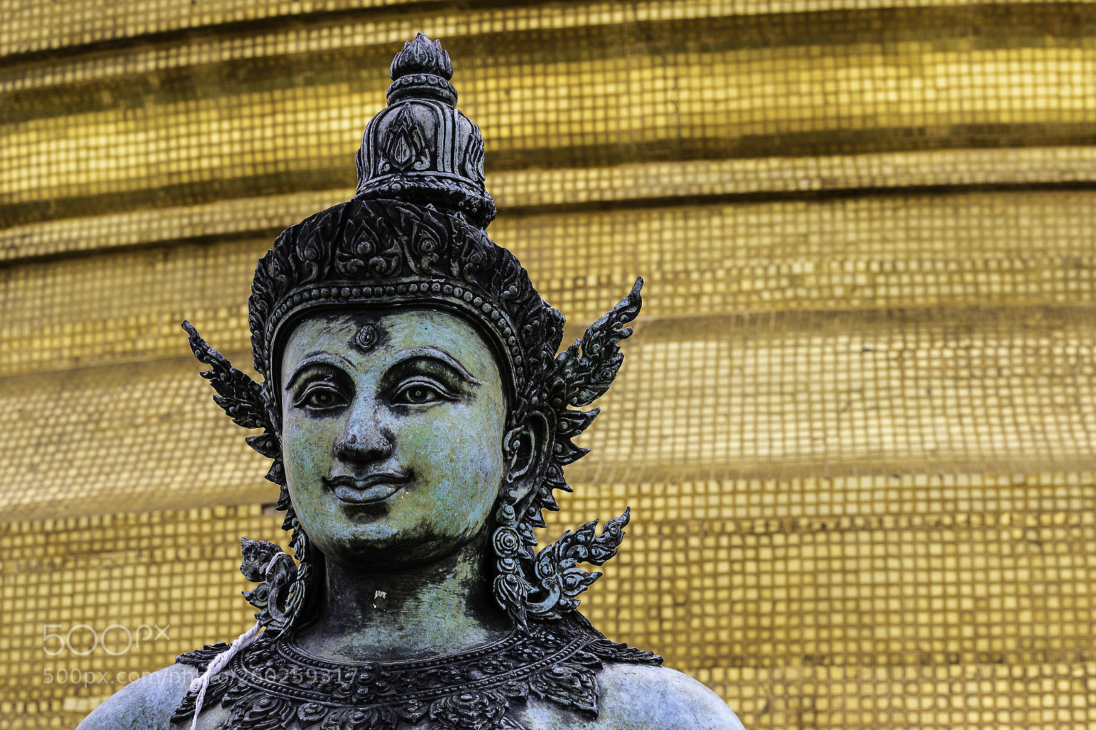 Canon EOS 7D Mark II sample photo. Green and gold photography