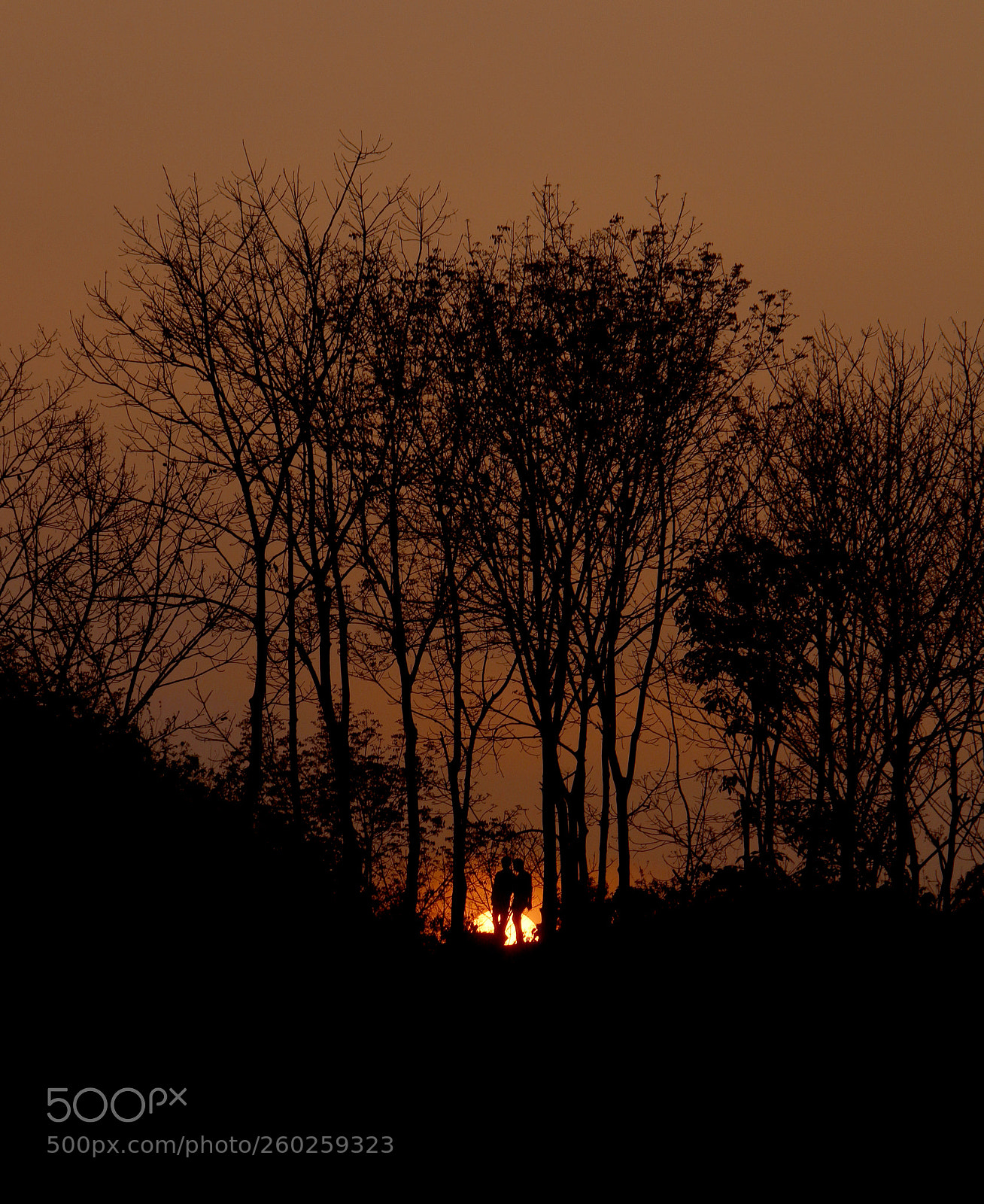 Canon EOS 70D sample photo. Untitled photography