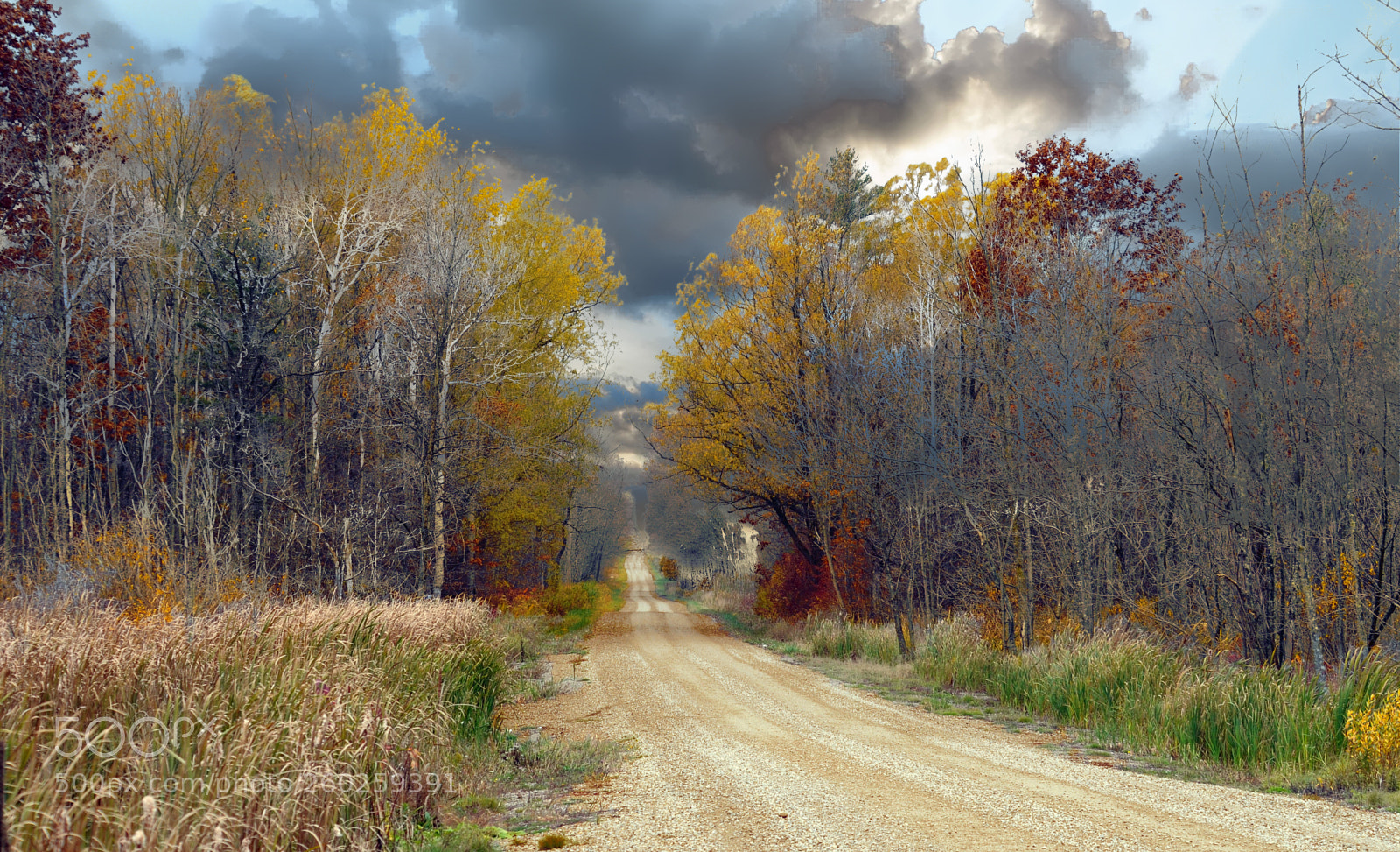 Nikon D300 sample photo. Fall photography