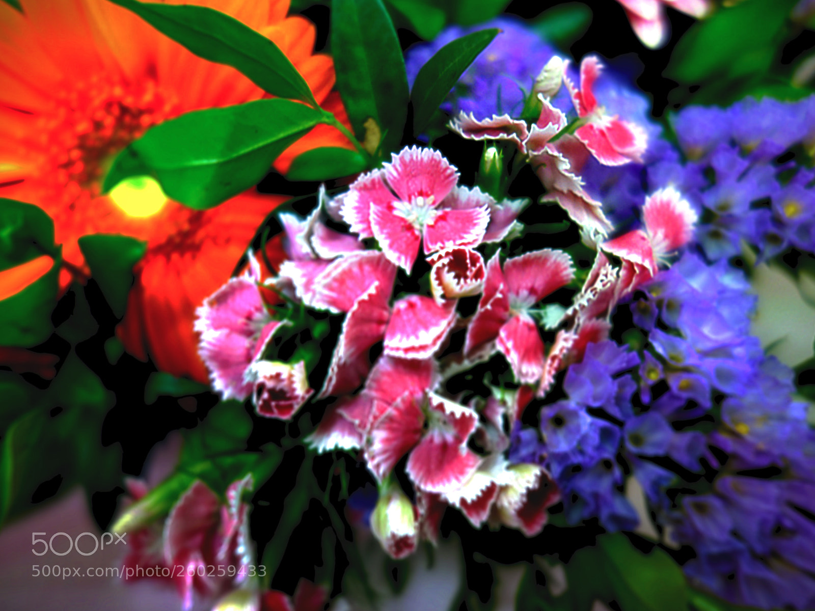 Sony Cyber-shot DSC-RX100 sample photo. Copia photography