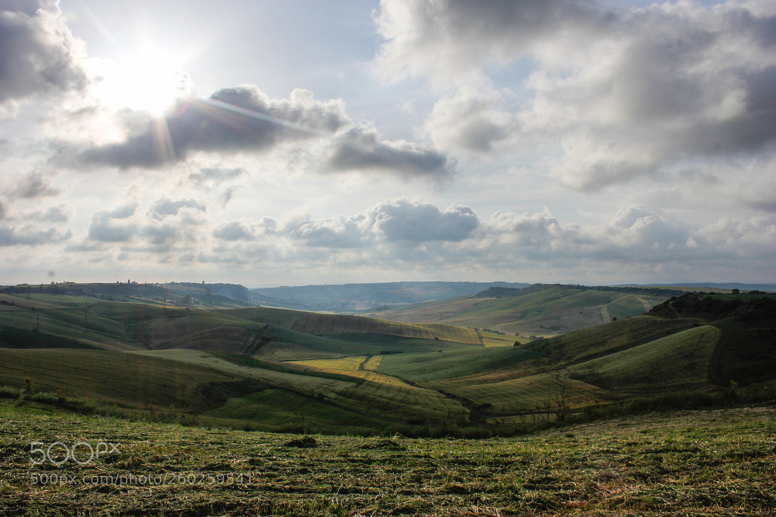 Canon EOS 60D sample photo. The sound of silence photography