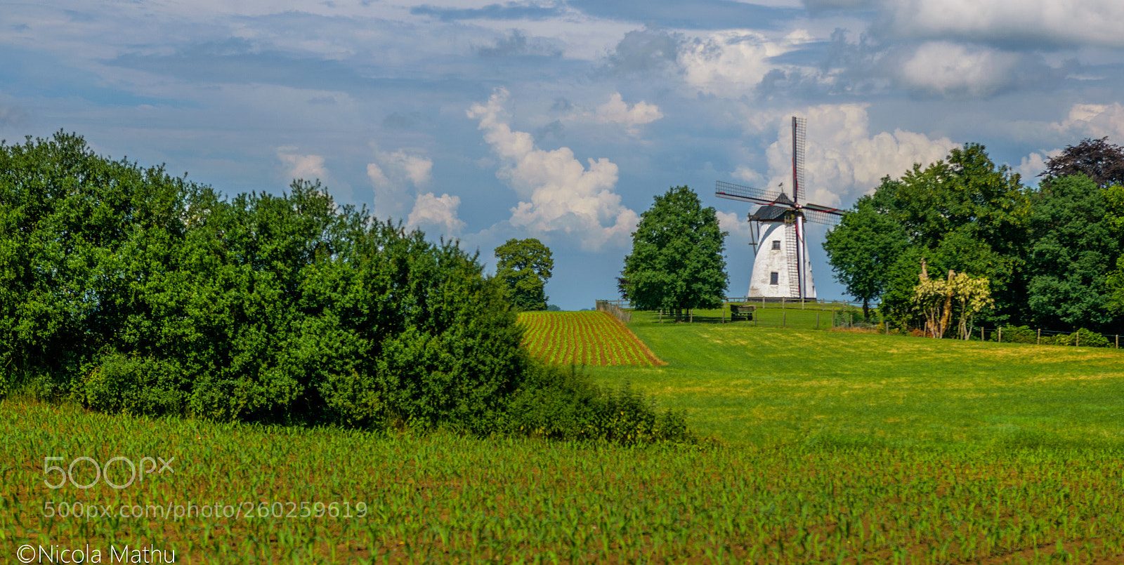 Nikon D5300 sample photo. Molen ter hengst photography