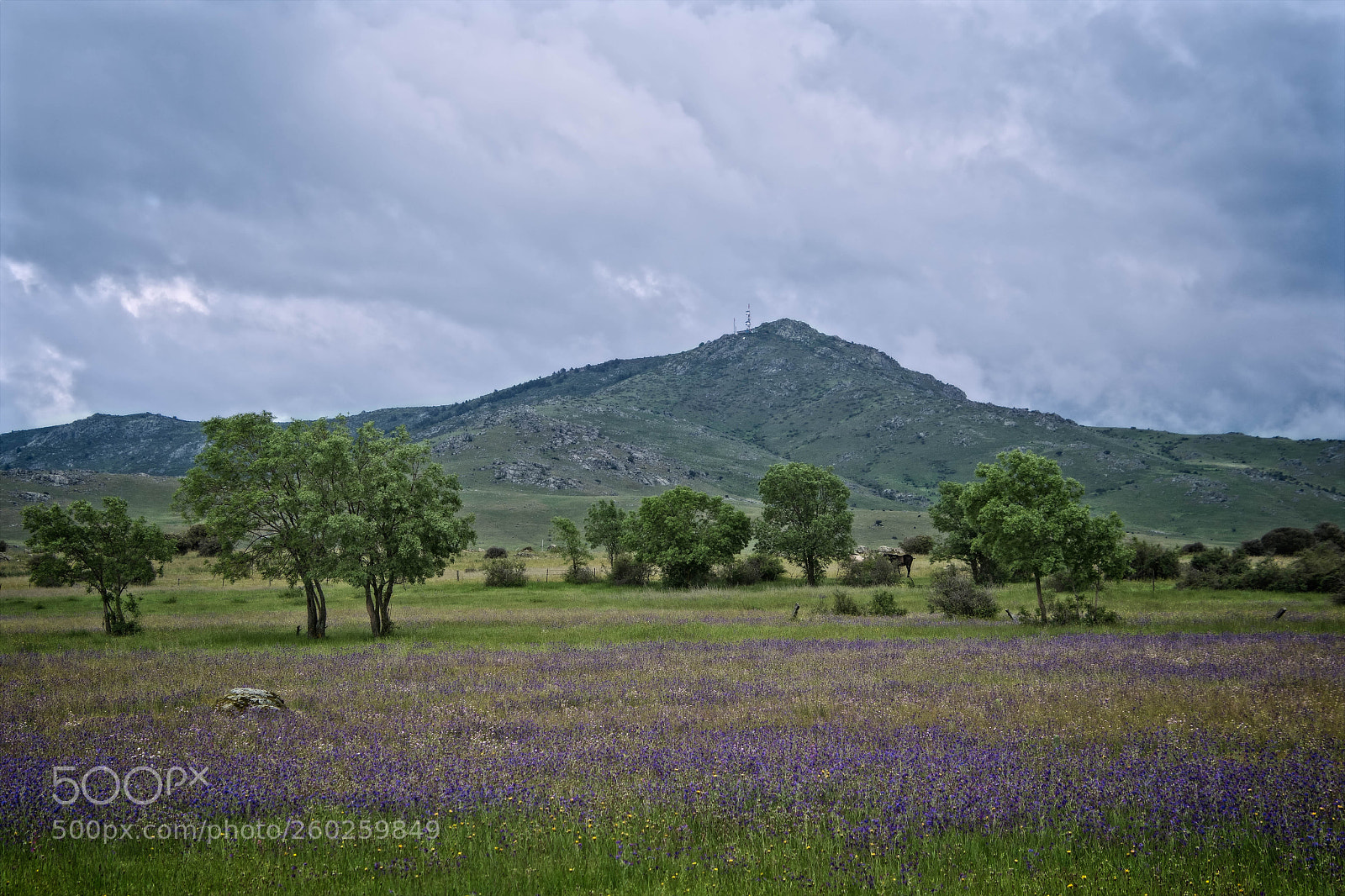 Nikon D7500 sample photo. Atalaya photography