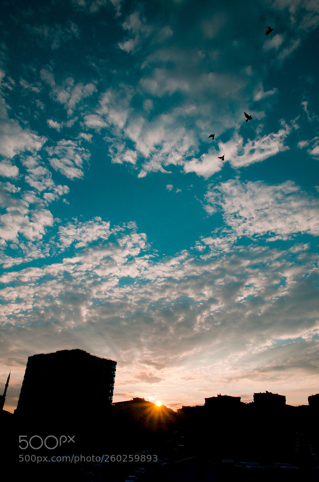 Nikon D7000 sample photo. Birds clouds building photography