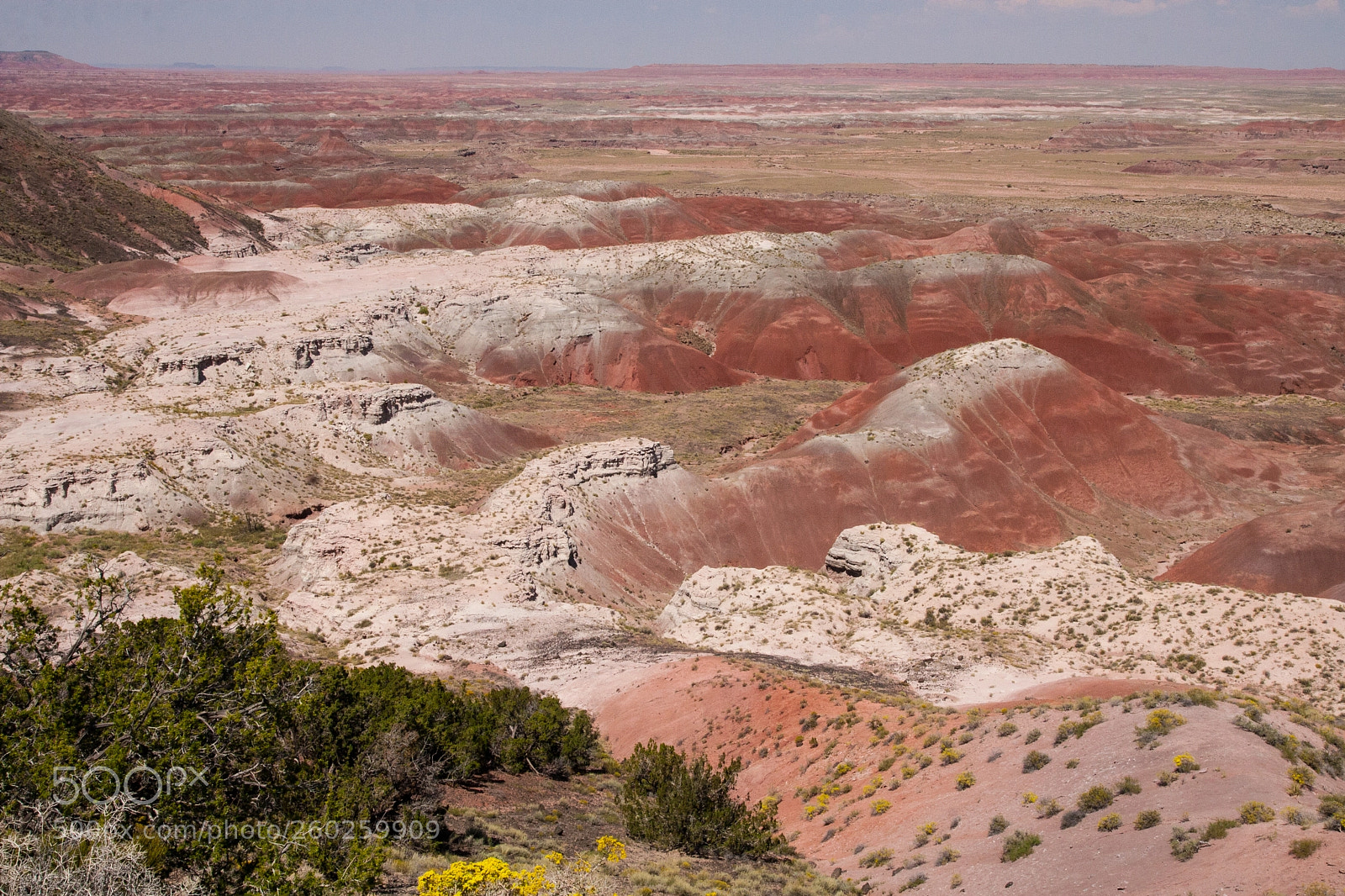 Canon EOS 30D sample photo. Painted desert from petrified photography