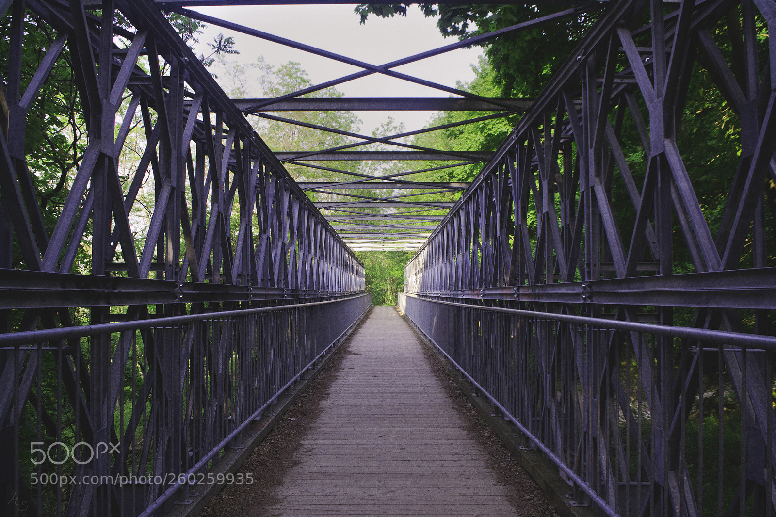 Nikon D3100 sample photo. Chedoke trails // architecture photography