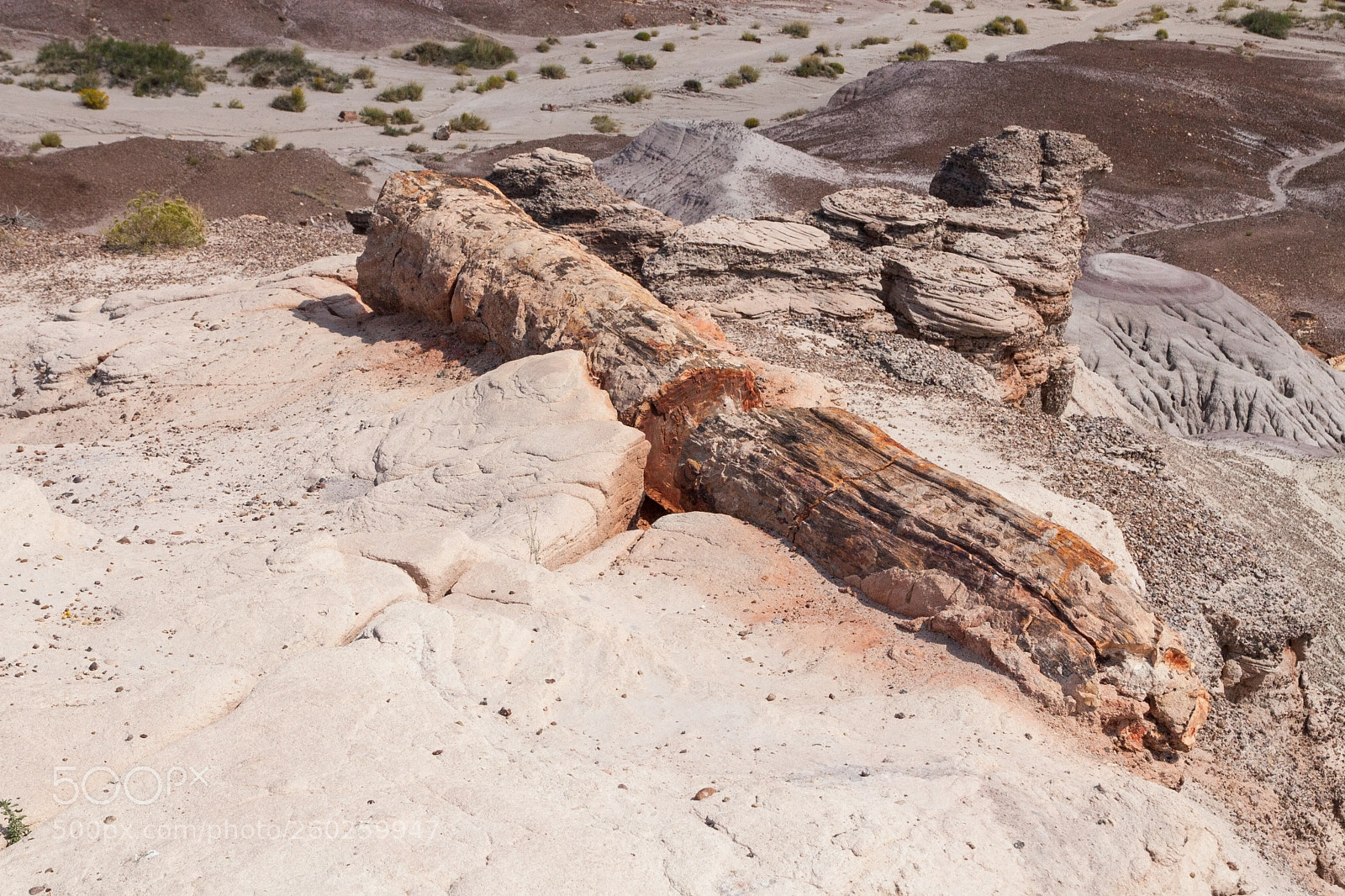 Canon EOS 30D sample photo. Petrified forest national park photography