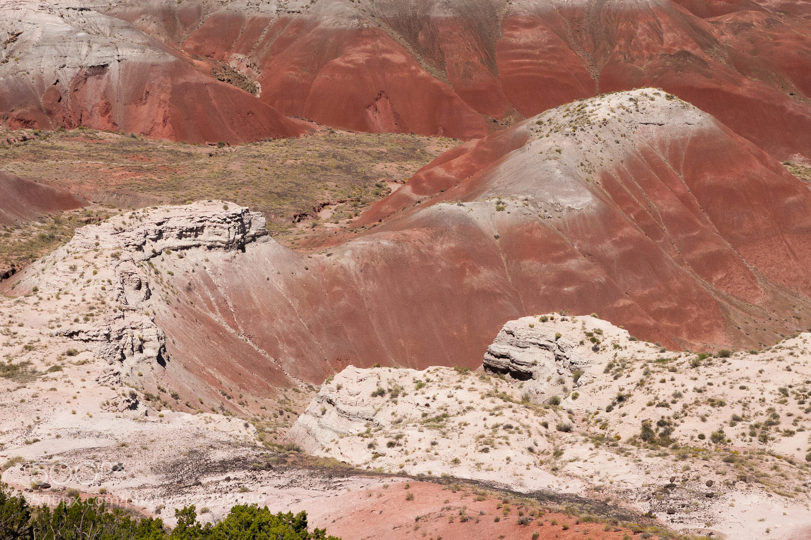 Canon EOS 30D sample photo. Painted desert from petrified photography
