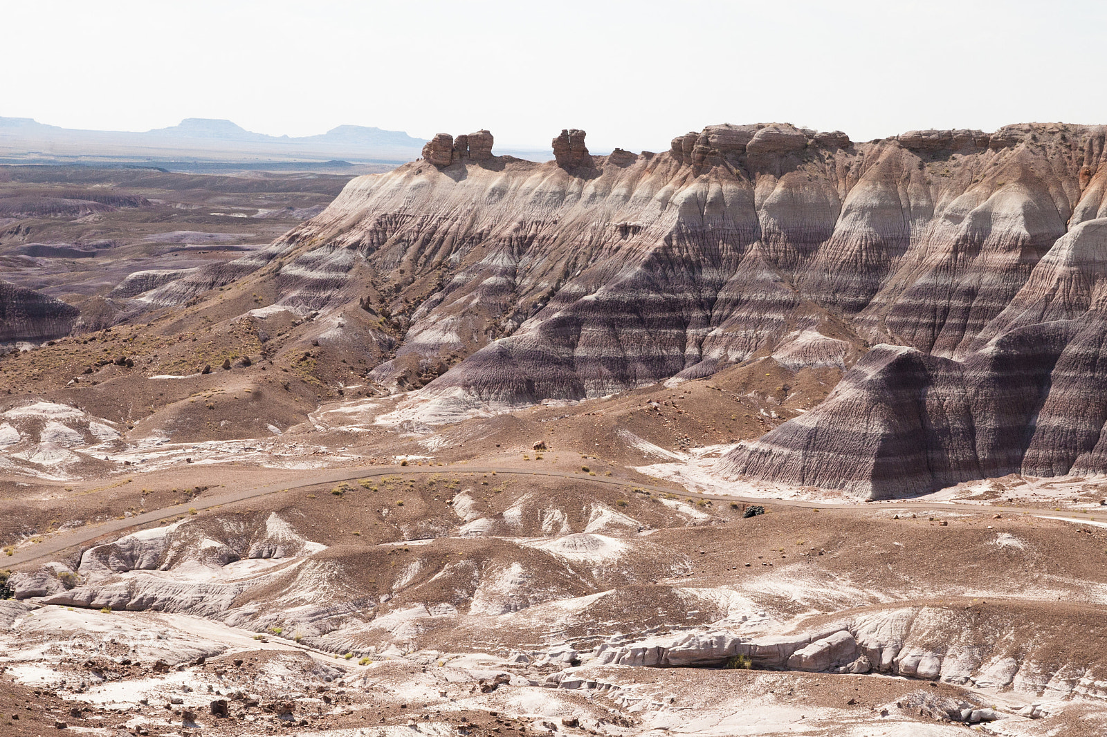 Canon EOS 30D sample photo. Petrified forest national park photography