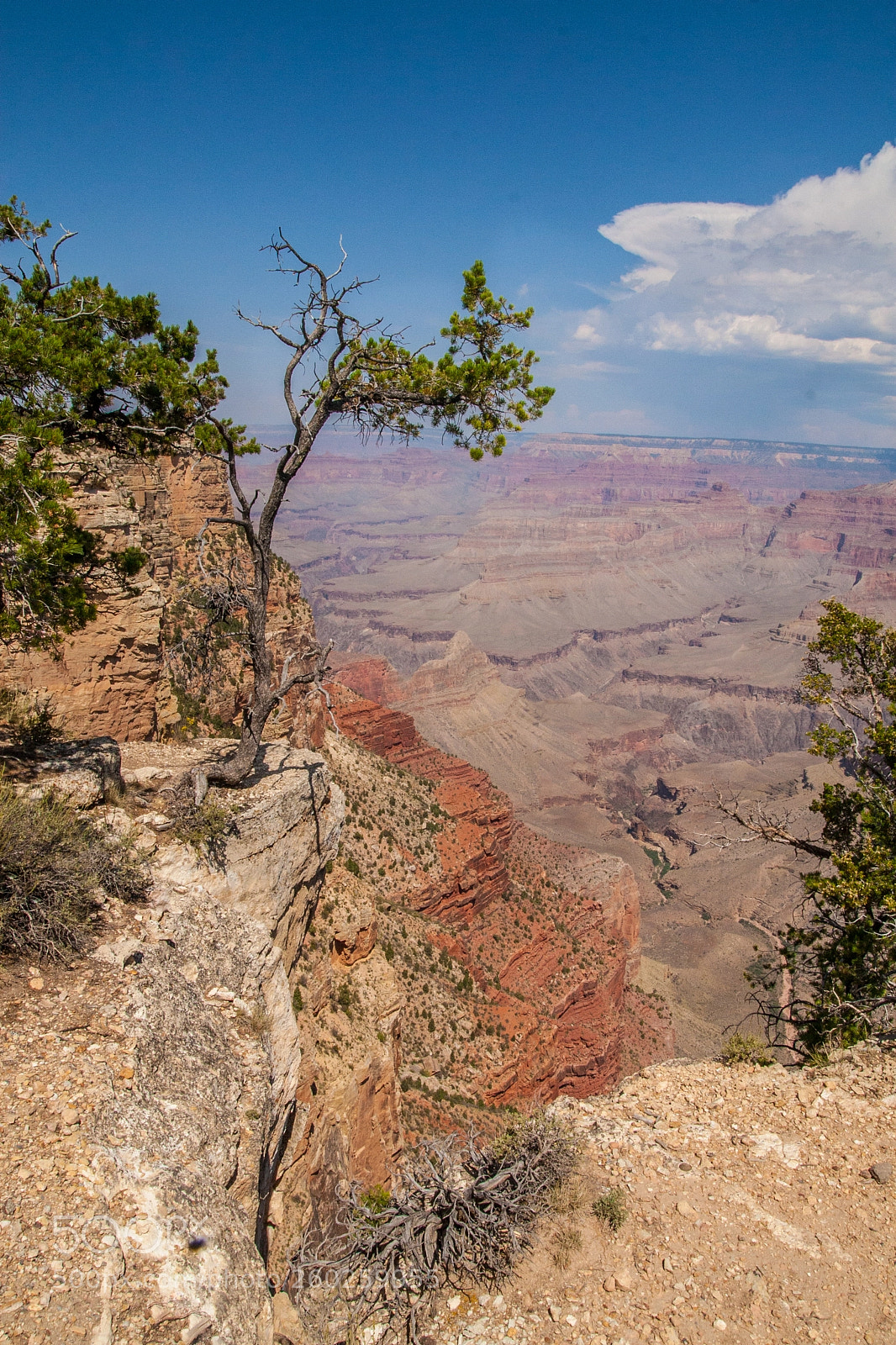 Canon EOS 30D sample photo. Grand canyon national park photography