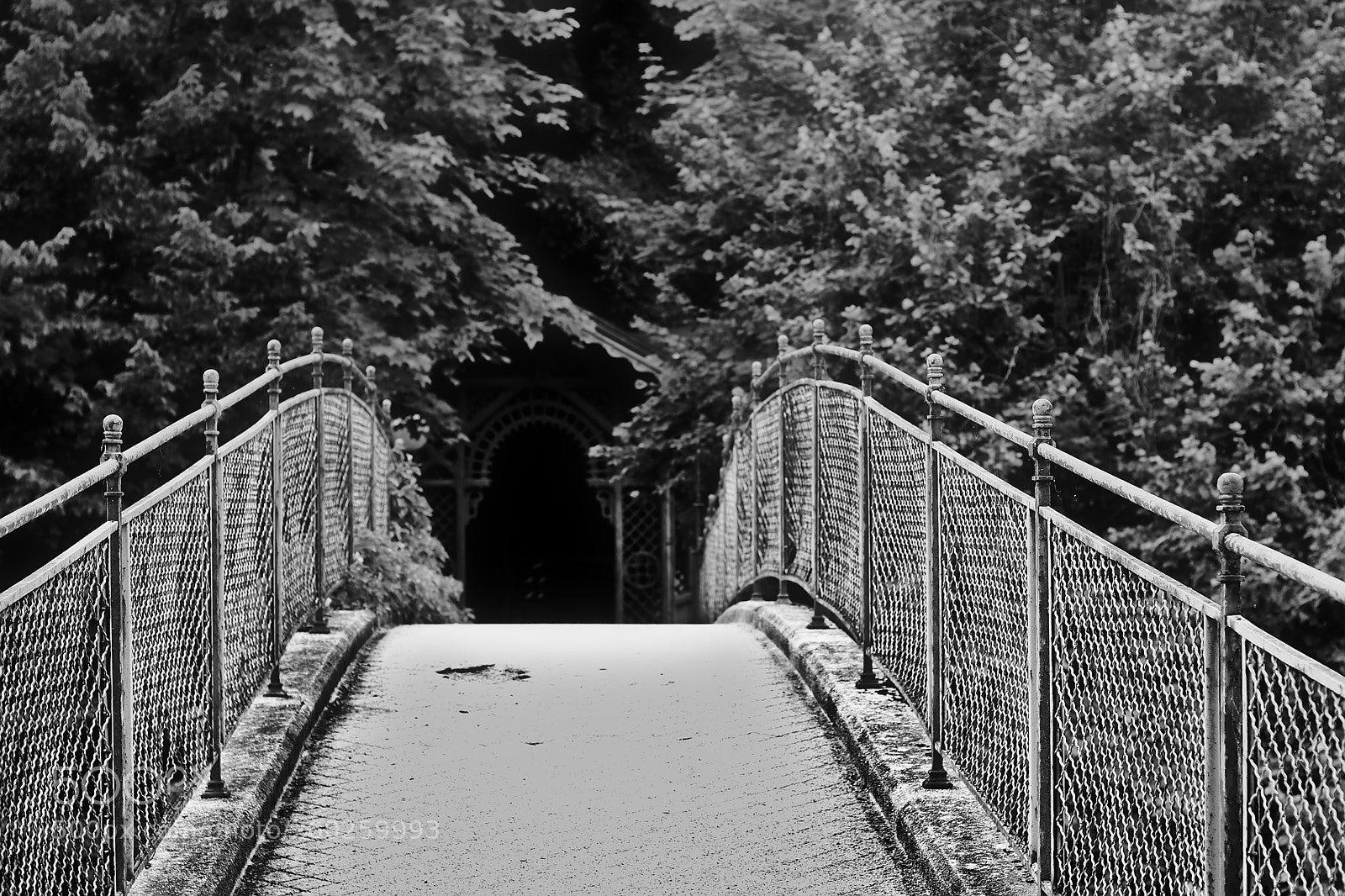 Canon EOS 80D + Canon EF 50mm F1.8 STM sample photo. Entrance photography