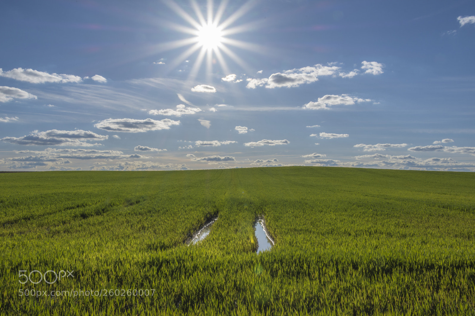 Nikon D7200 sample photo. Sol y restos de photography