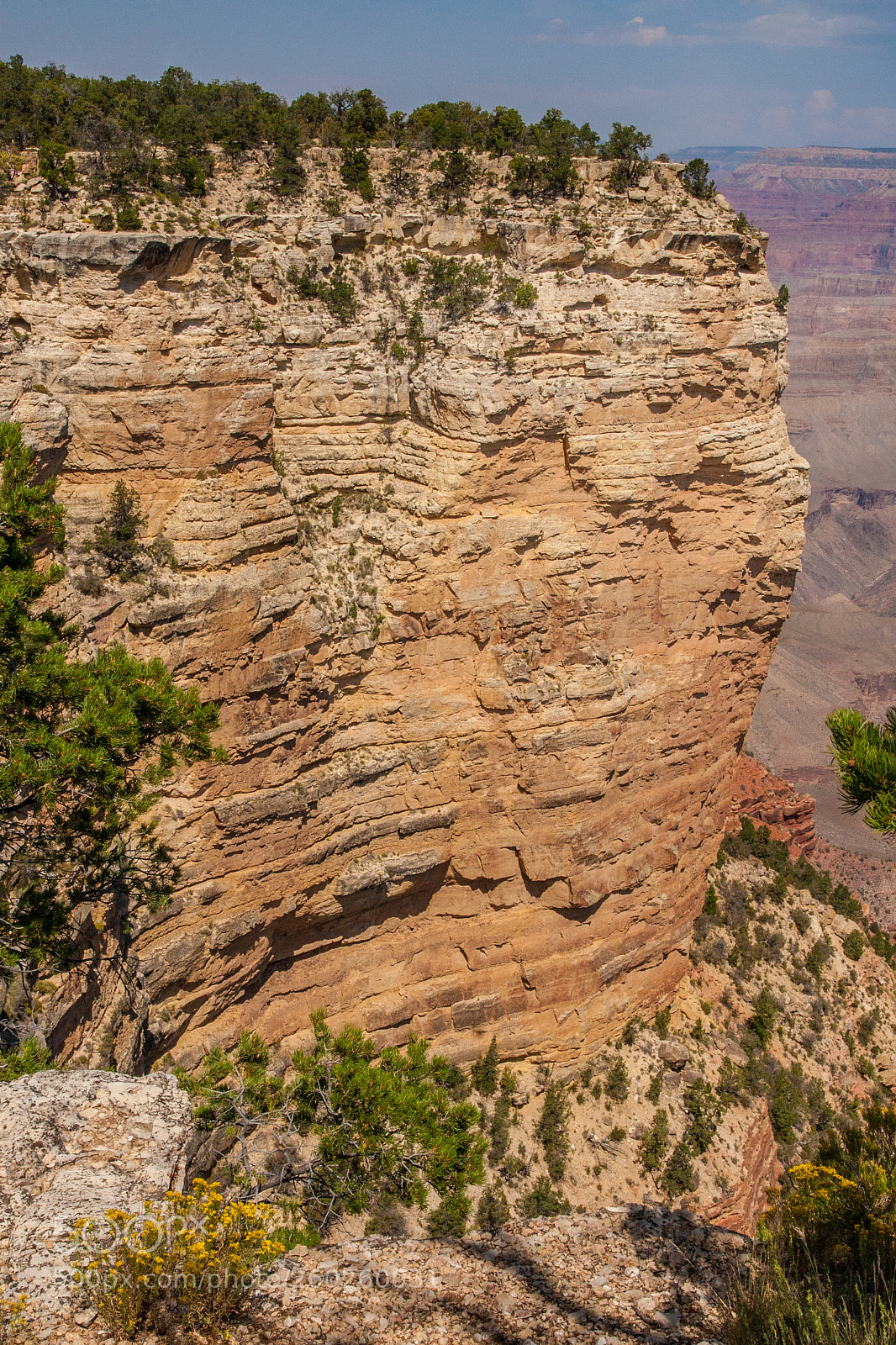 Canon EOS 30D sample photo. Grand canyon national park photography