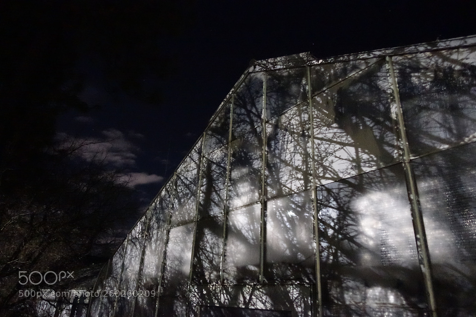 Sony Cyber-shot DSC-RX100 III sample photo. Greenhouse shadows photography