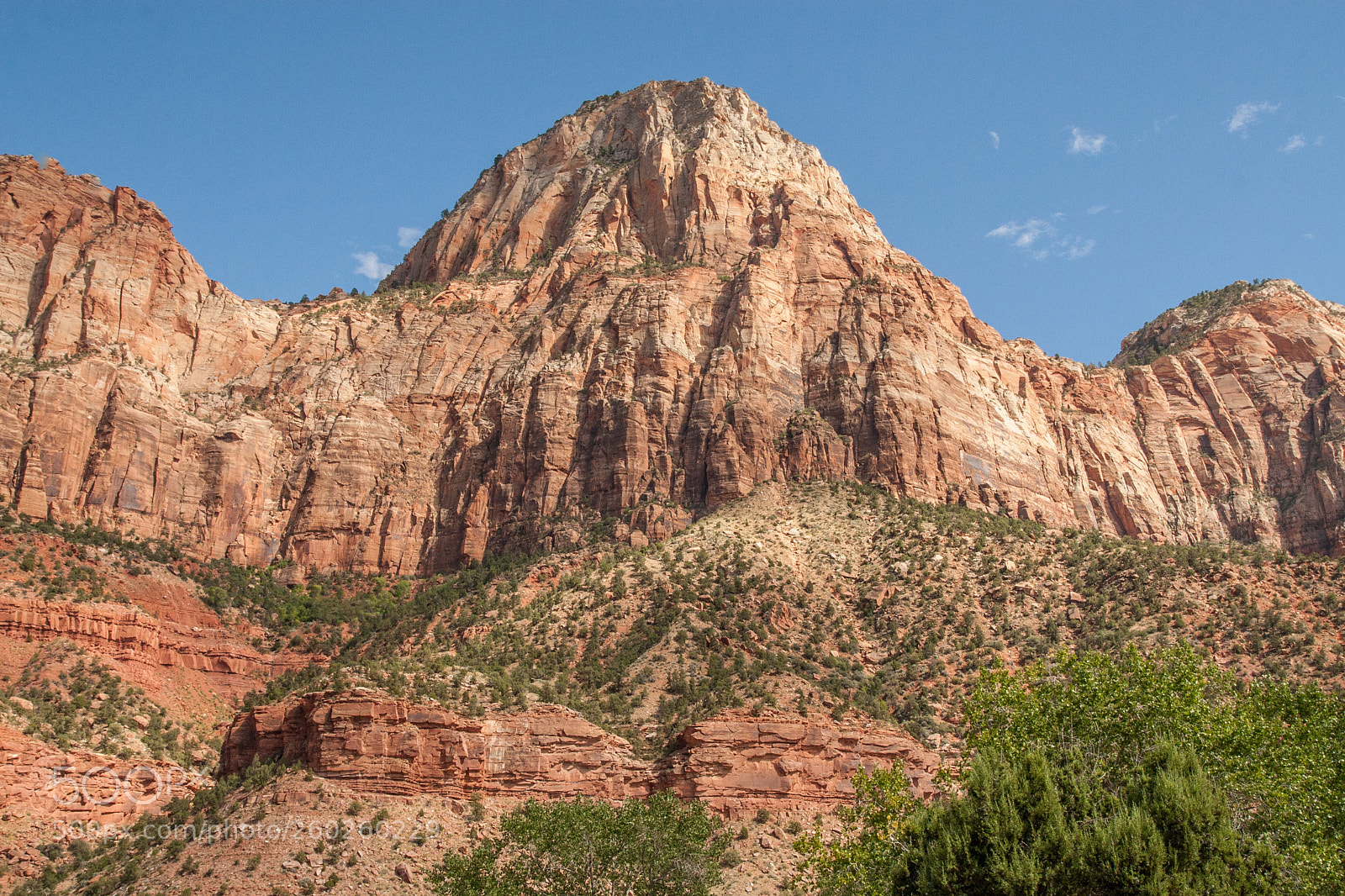 Canon EOS 30D sample photo. Zion national park photography