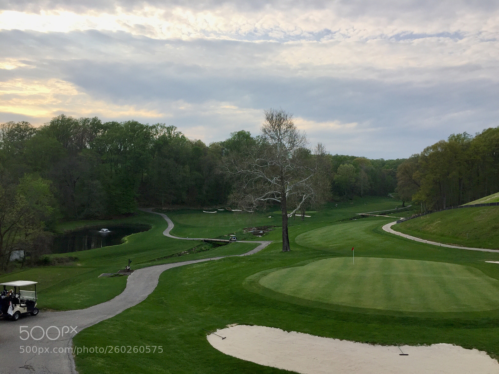 Apple iPhone 6 sample photo. Golf course photography