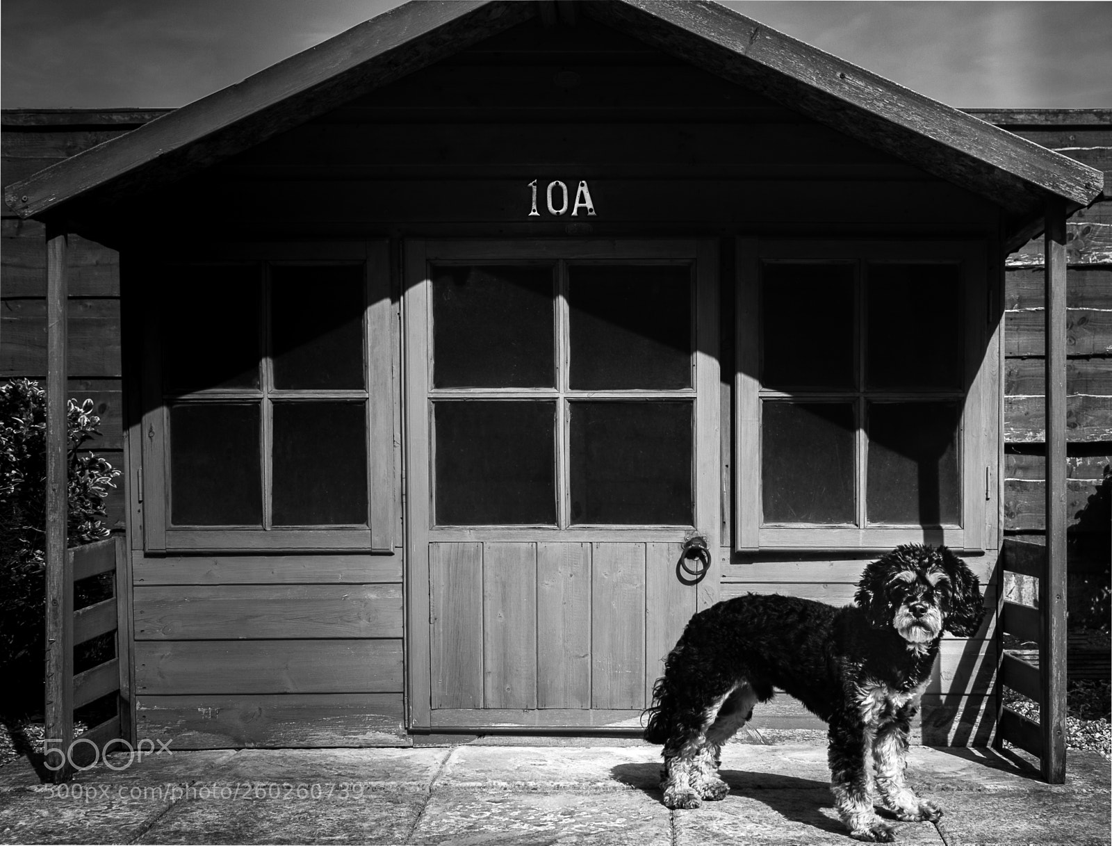Nikon D3300 sample photo. 10a nacho’s house photography