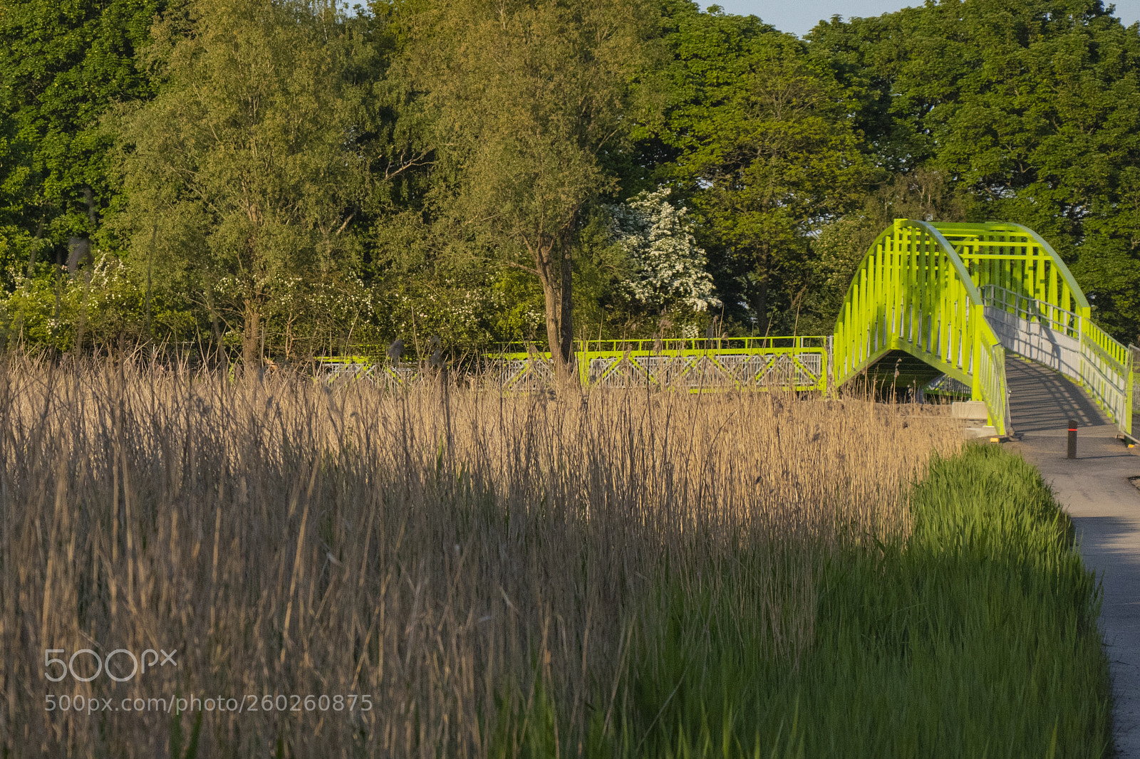 Canon EOS 80D sample photo. Abbotshaugh photography