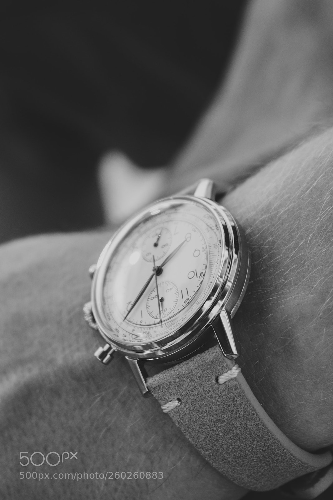 Nikon D5600 sample photo. Stand still macro alt photography