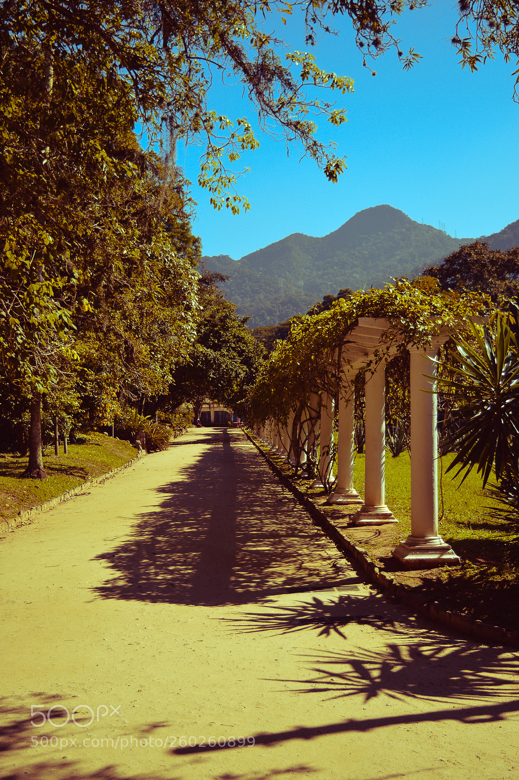Nikon D3200 sample photo. Jardim botânico photography
