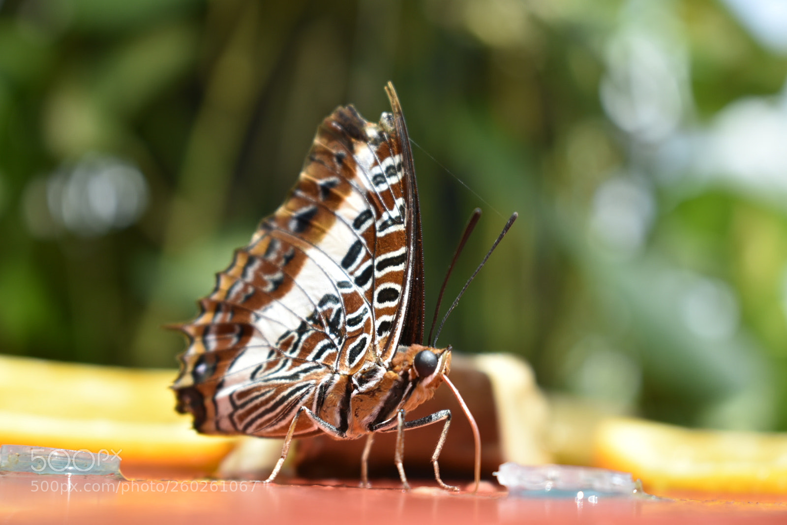 Nikon D3400 sample photo. Untitled photography
