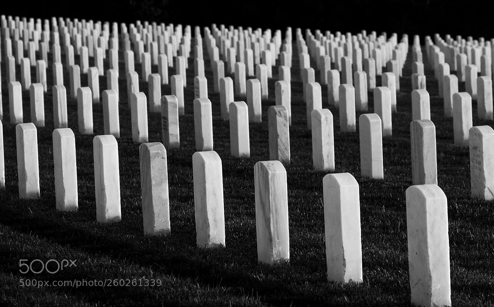Canon EOS 100D (EOS Rebel SL1 / EOS Kiss X7) sample photo. Graves black and white photography