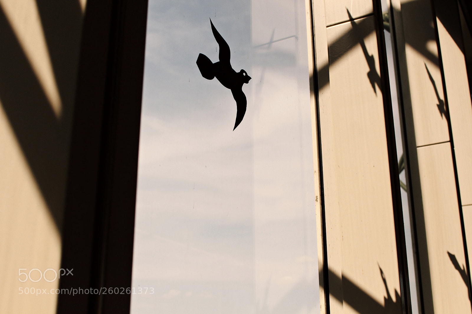 Canon EOS 700D (EOS Rebel T5i / EOS Kiss X7i) sample photo. Take flight photography