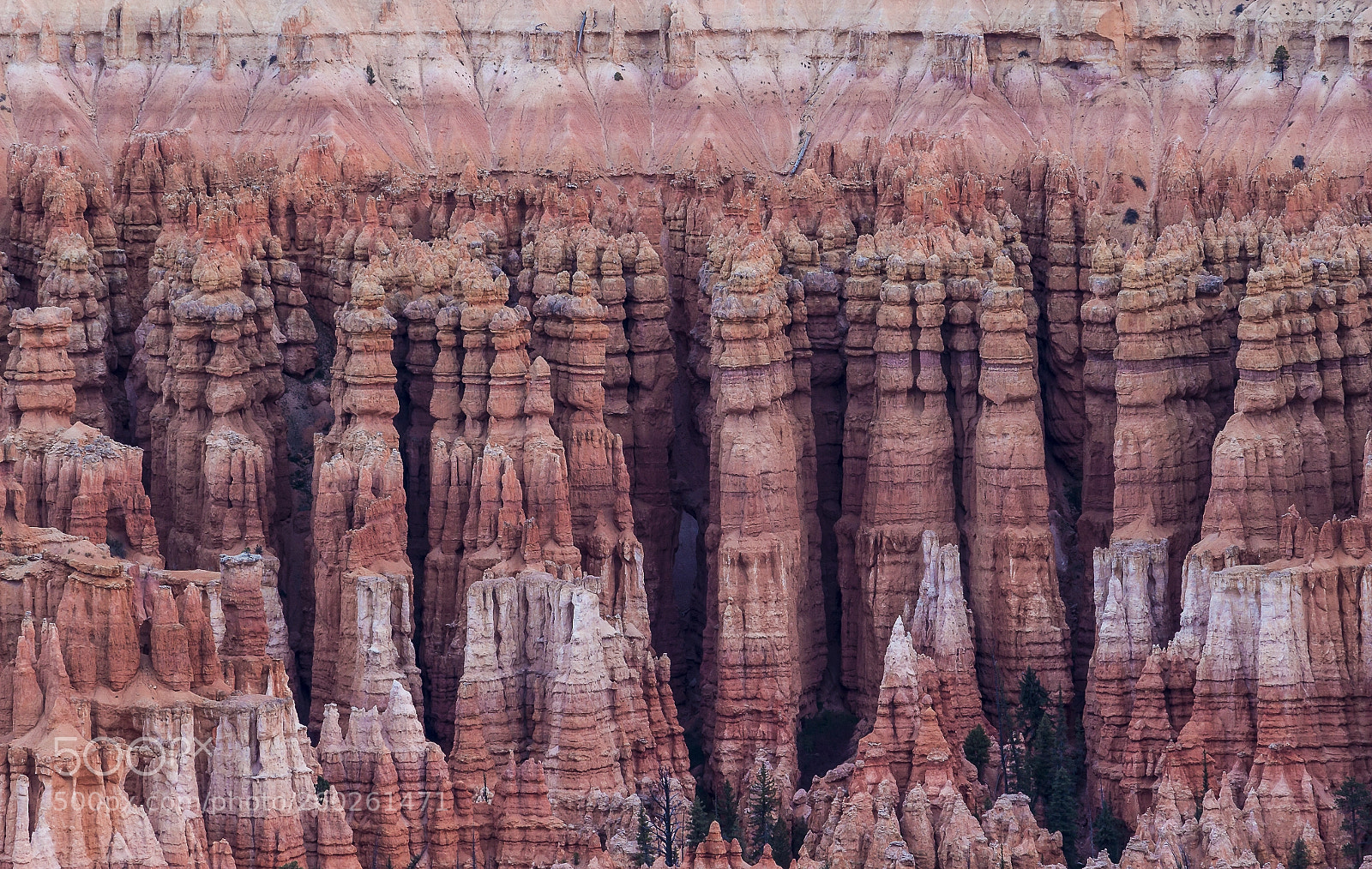 Canon EOS 100D (EOS Rebel SL1 / EOS Kiss X7) sample photo. Abstract bryce canyon photography