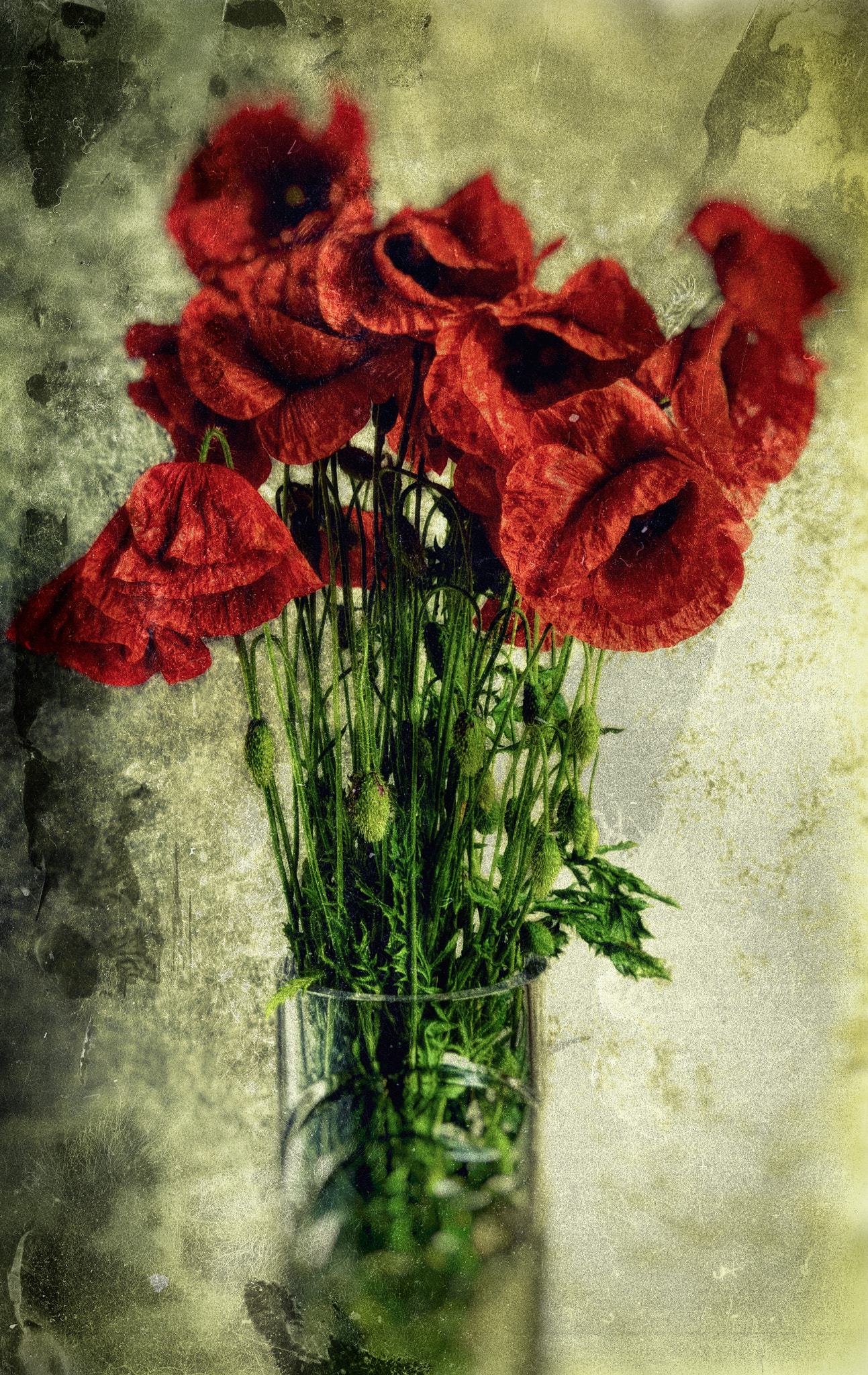 HUAWEI P10 Plus sample photo. Poppies photography