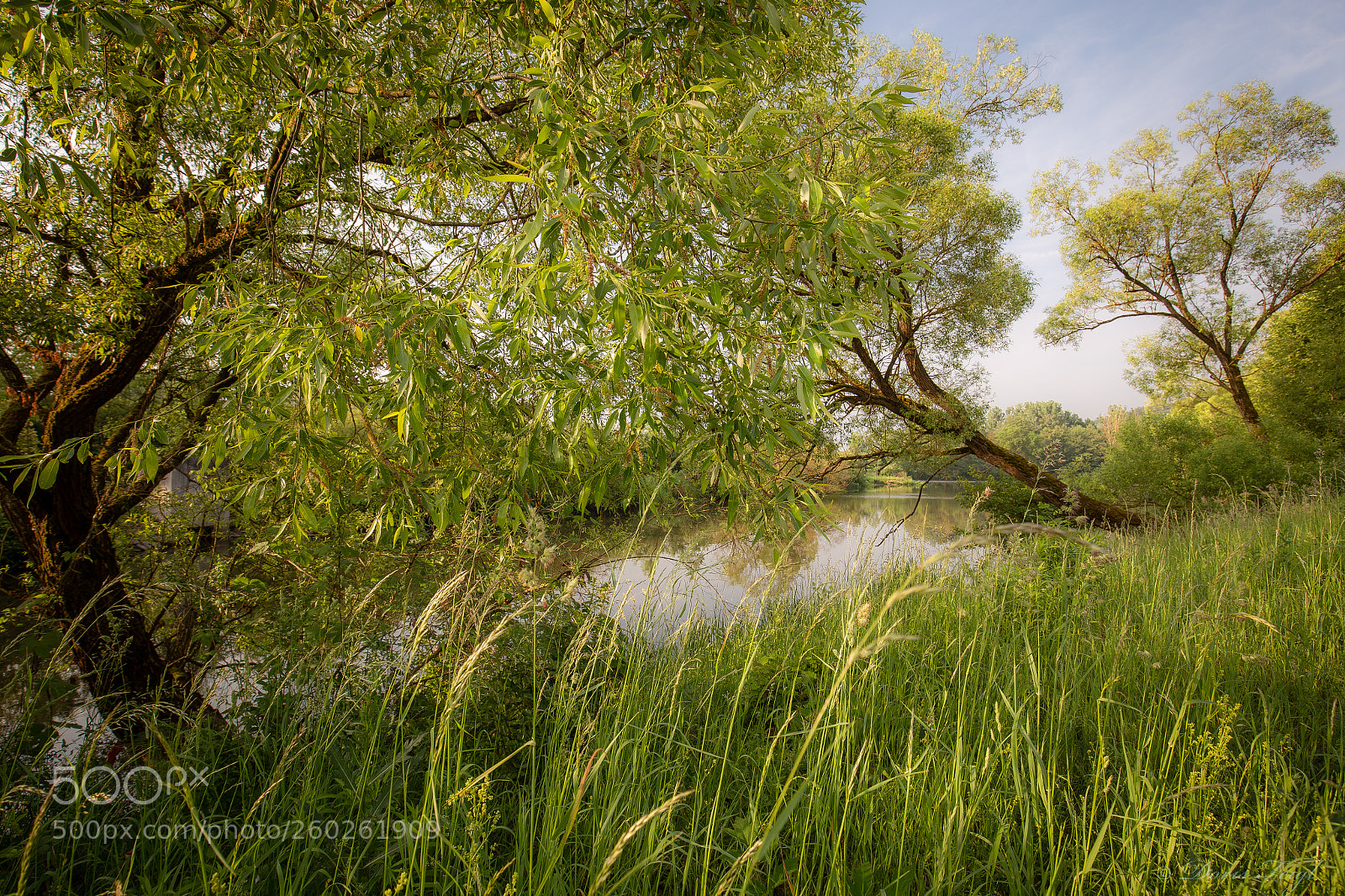 Canon EOS 6D sample photo. It greens so green.... photography