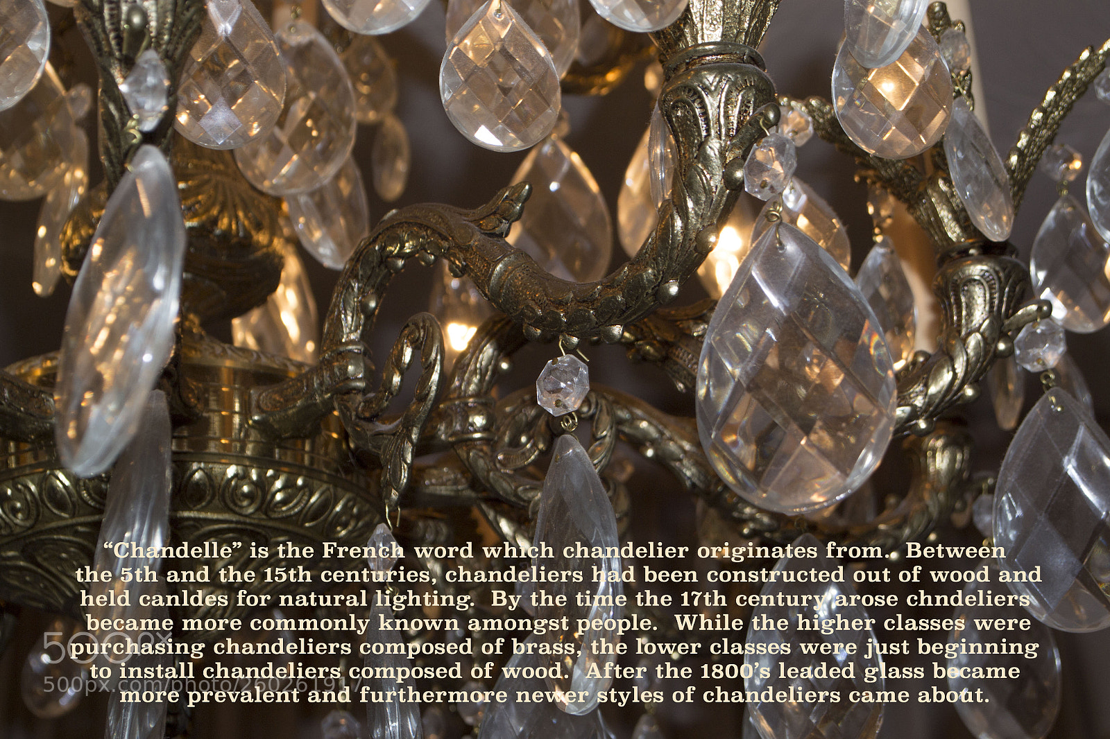 Nikon D3100 sample photo. Educate me photography