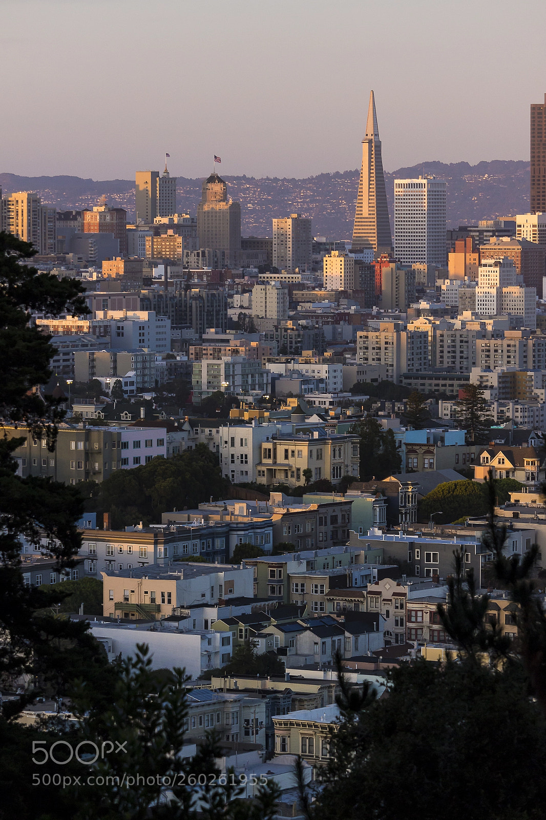 Canon EOS 100D (EOS Rebel SL1 / EOS Kiss X7) sample photo. Skyline of san francisco photography