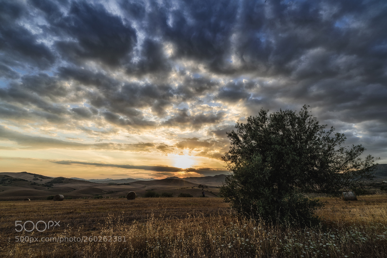 Nikon D750 sample photo. Sunset-3 photography