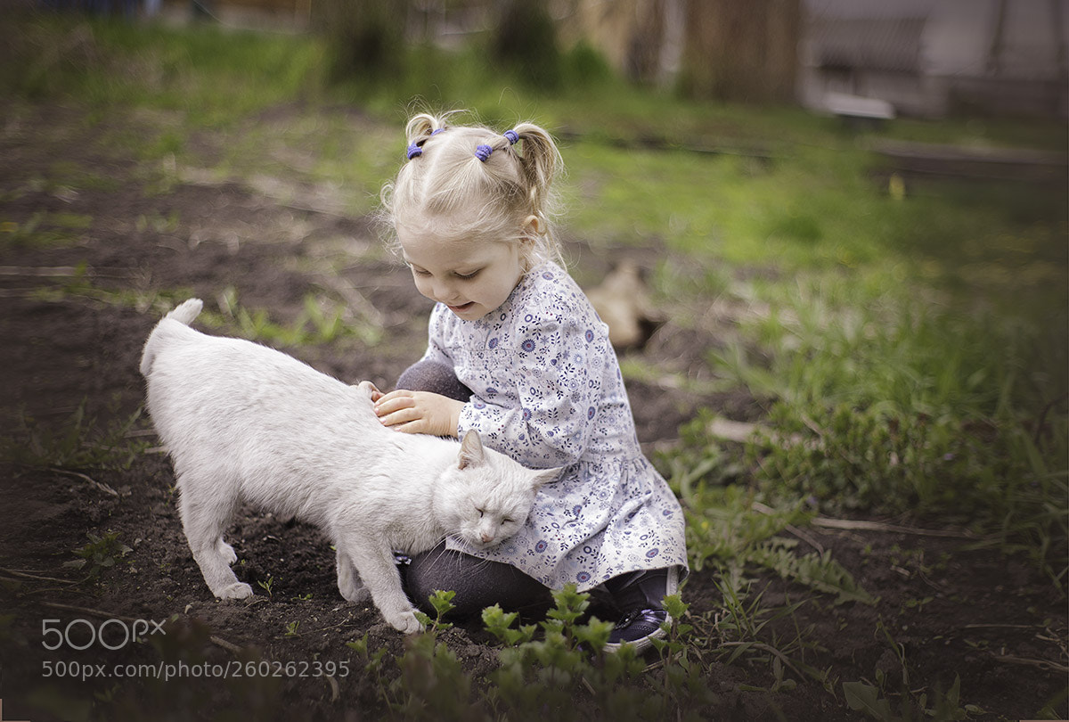 Canon EOS 5D Mark II sample photo. Girl and cat. photography
