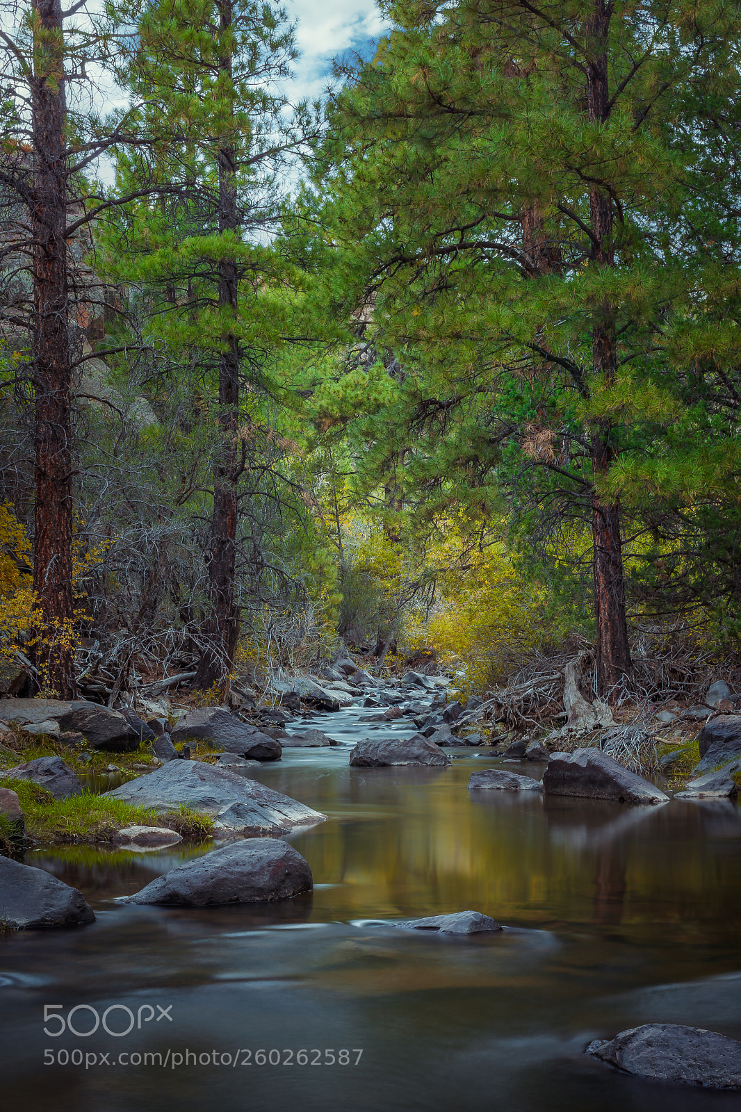 Canon EOS 5D Mark II sample photo. Pine valley photography