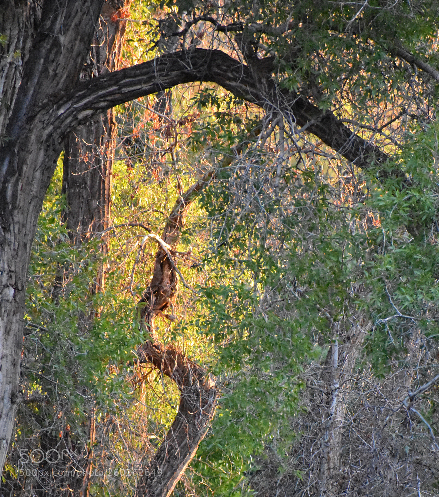 Nikon D3400 sample photo. Yellow
late day photography