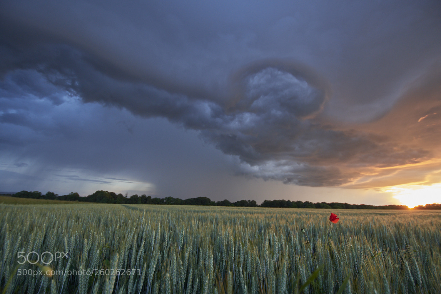 Nikon D500 sample photo. Stormy evening photography