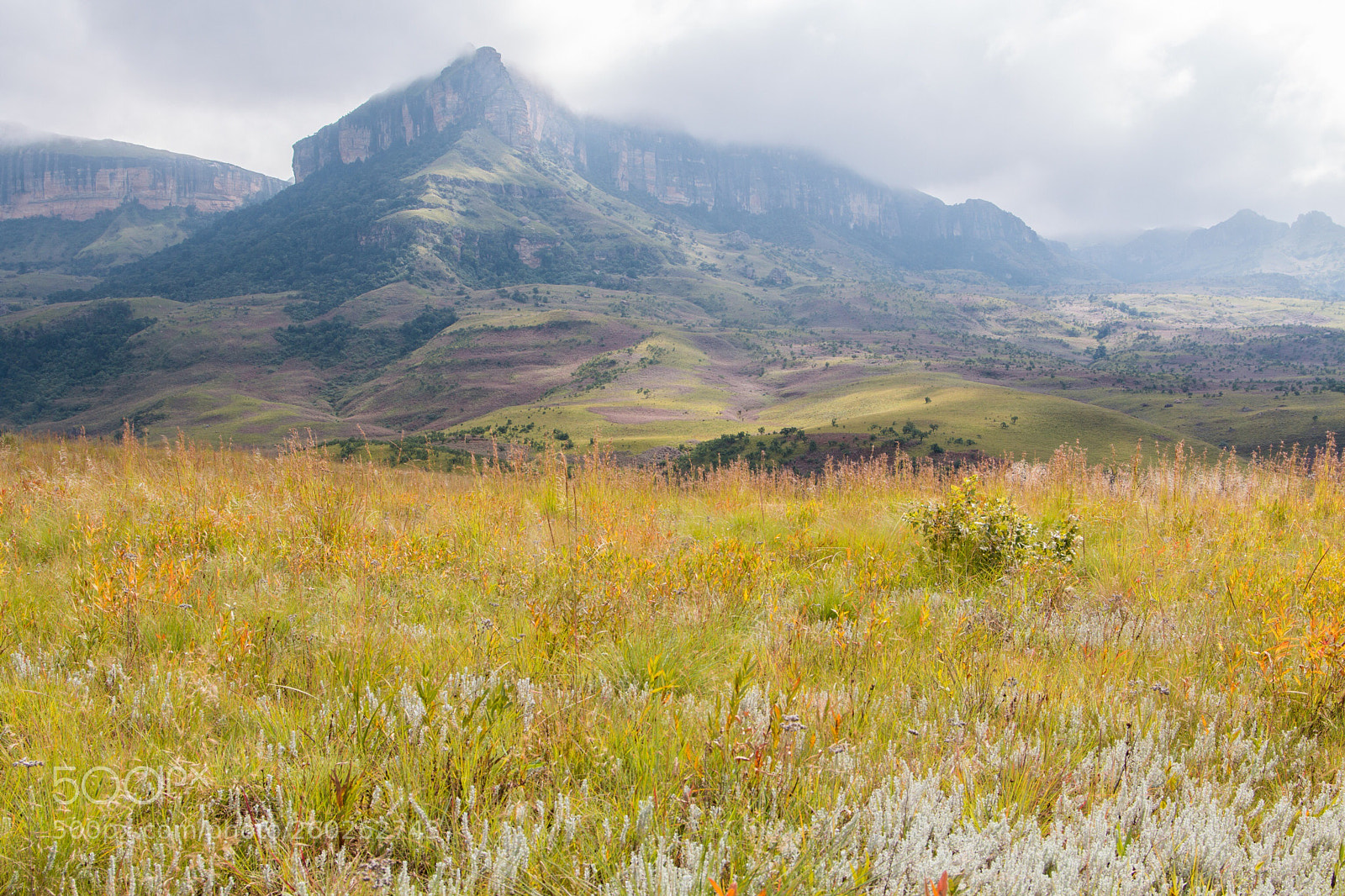 Canon EOS 70D sample photo. Misty mountain  photography
