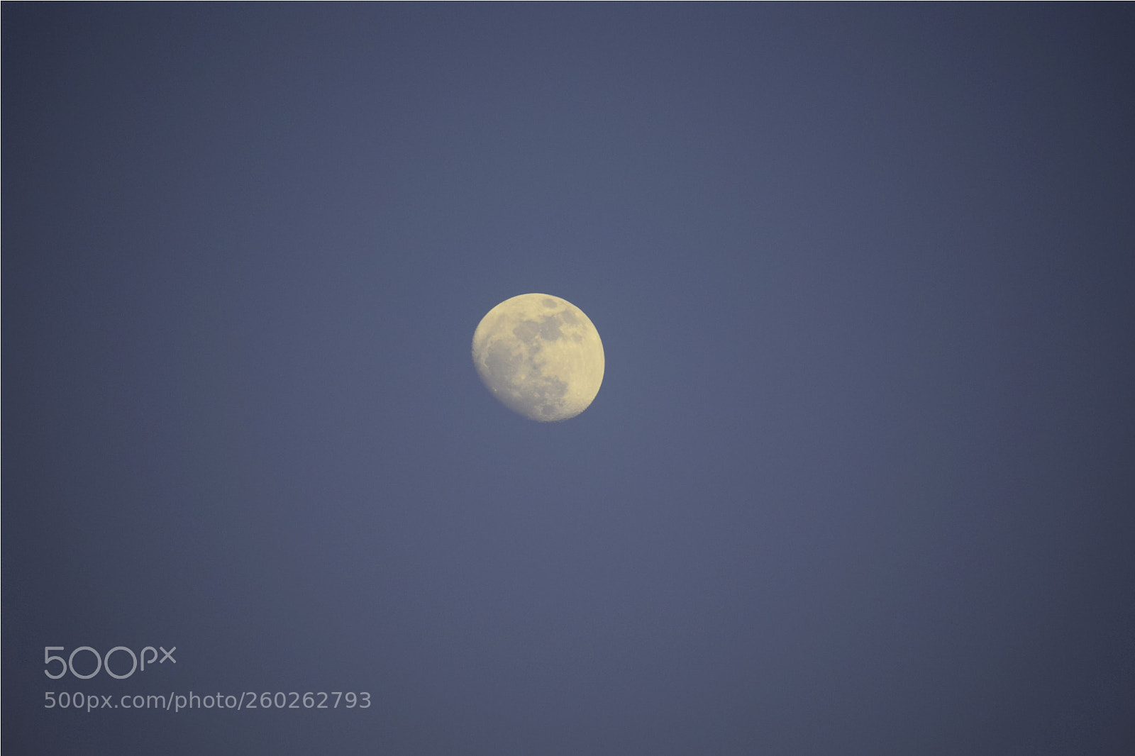 Nikon D5300 sample photo. 10.jpg photography